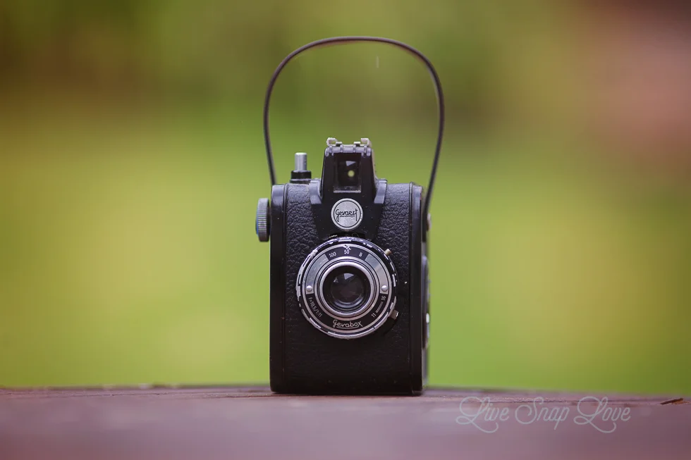 bokeh-3.jpg
