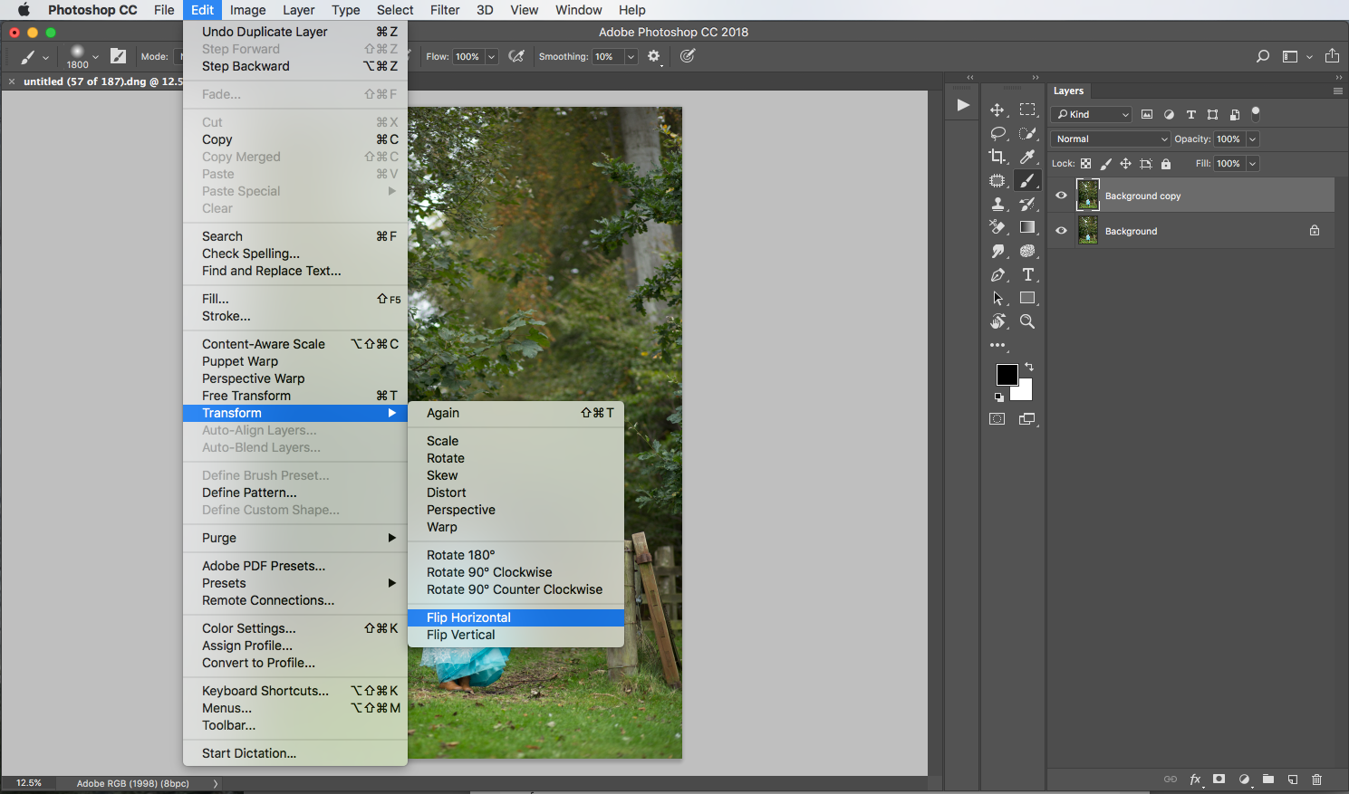 How to Mirror the Background in Photoshop