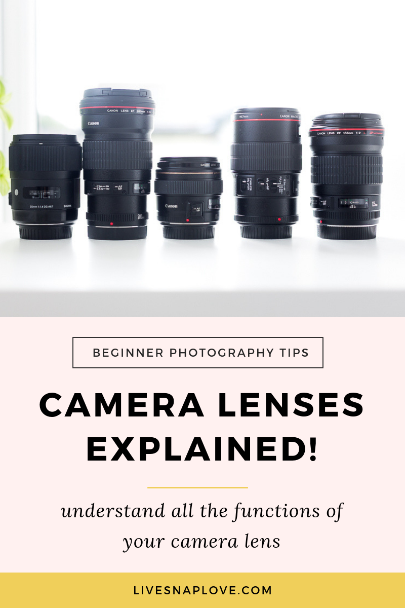 vacature Verbaasd Kerkbank Camera Lenses Explained: Understand All The Functions of Your Camera Lens!  — Live Snap Love | Photography Tips