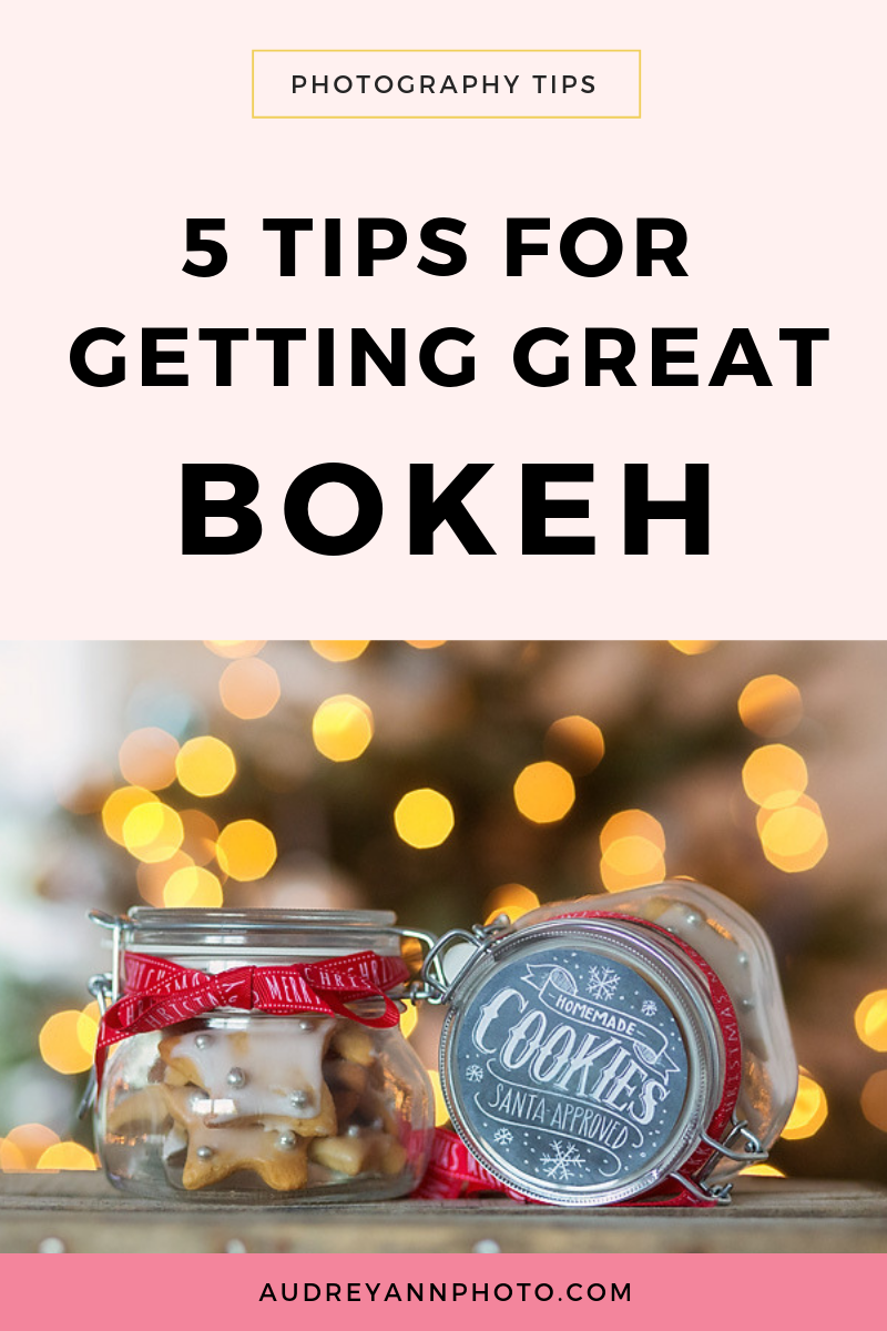 Learn all about photography bokeh with these photography tips! We'll look at how to get a bokeh portrait, so you can get a blurry background in your photos!