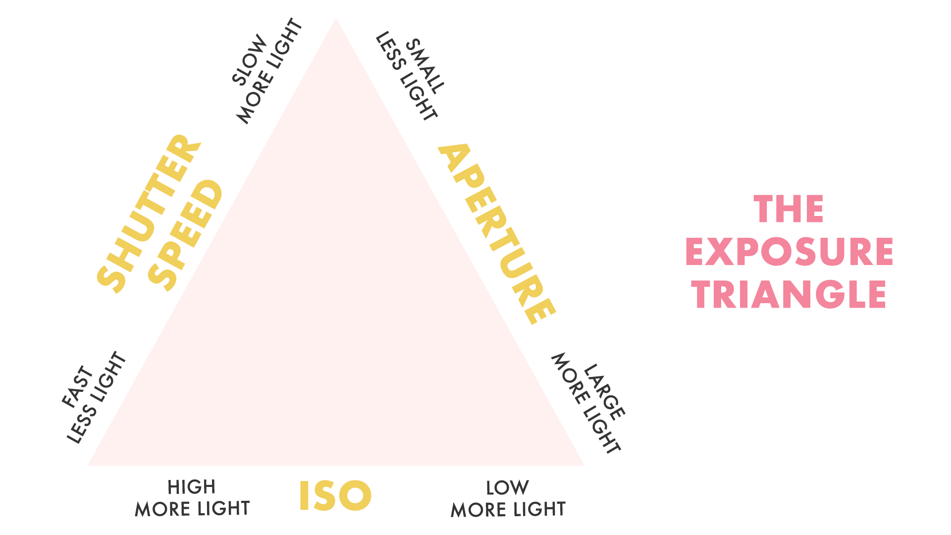 10 Basic Photography Tips Every New Photographer Should Know
