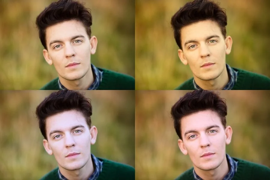 Showing the same image each with a difference white balance applied