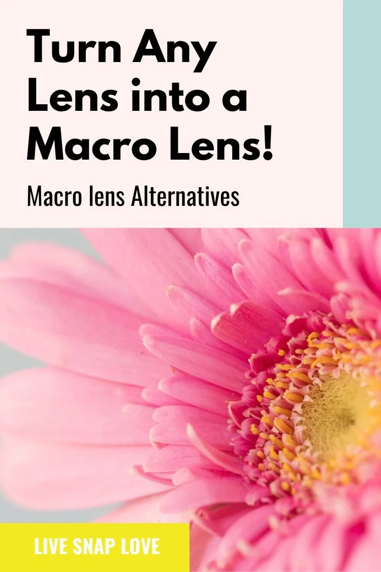 How To Use Your Regular Lens For Macro Photography