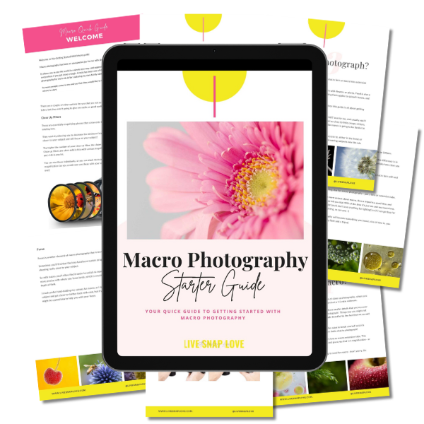 Free Photography Resources From Live Snap Love