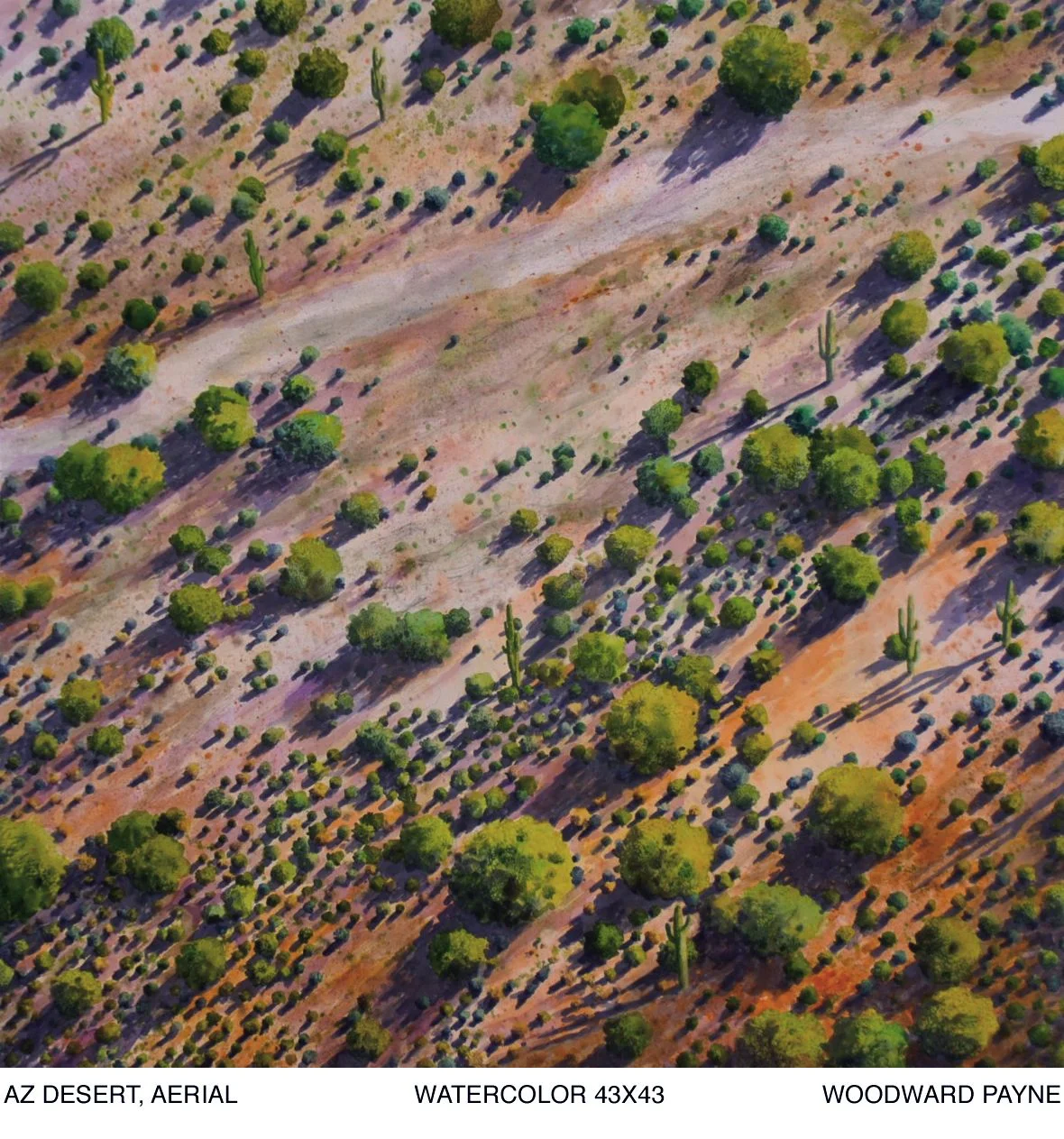 AZ DESERT, AERIAL watercolor_2.jpg