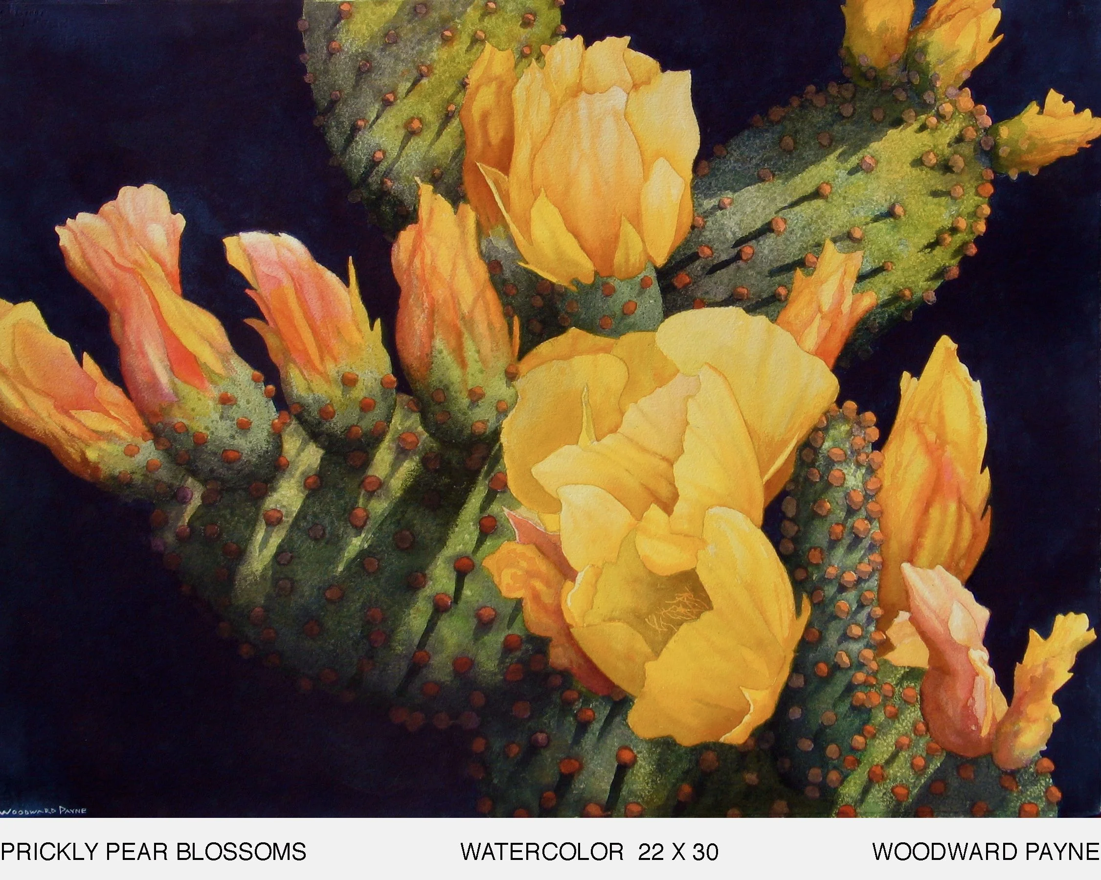 PRICKLY PEAR BLOSSOMS 22X30 WAwatercolor.jpg