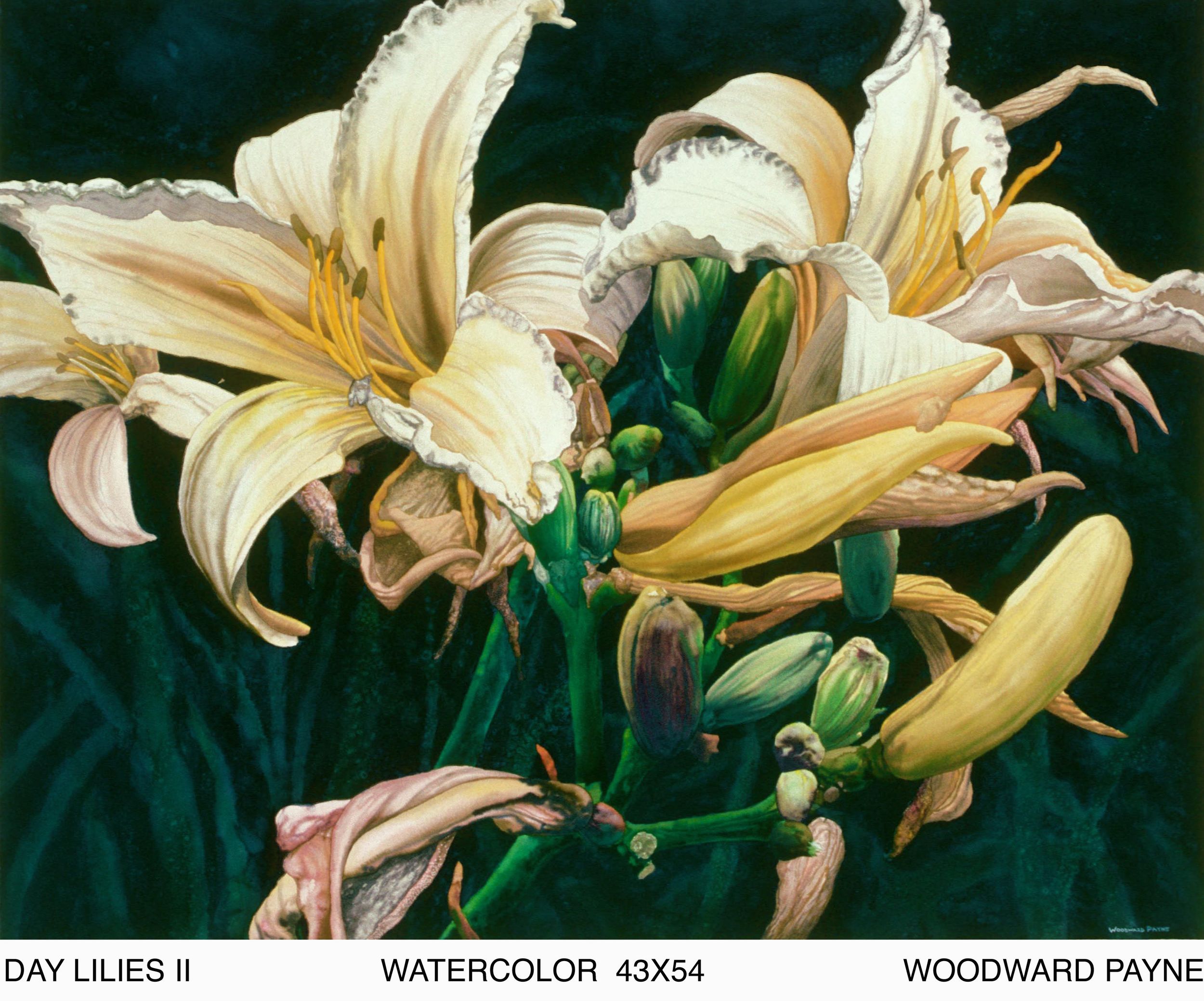 DAY LILIES II 43X54 WC..jpg