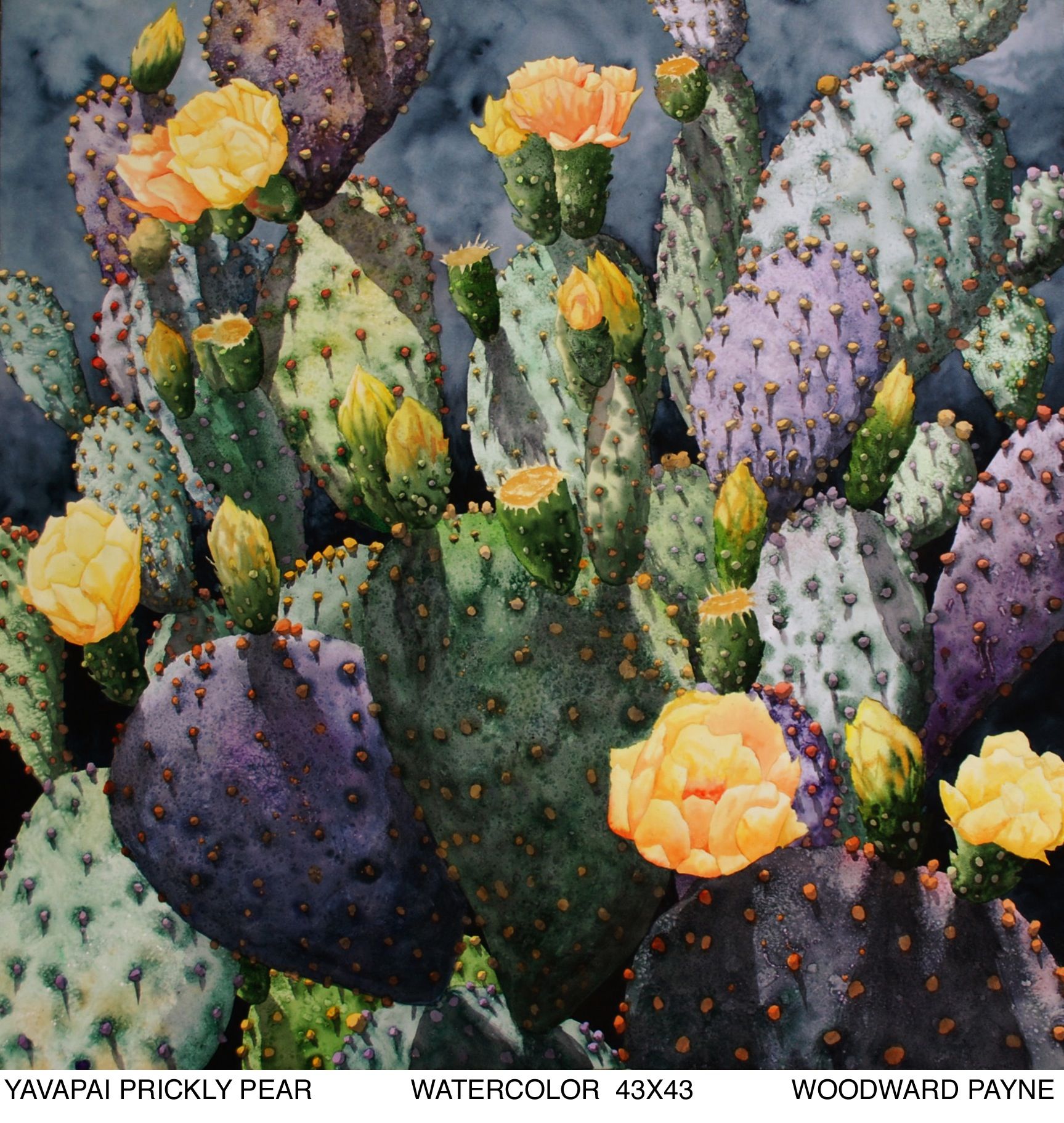 YAVAPAI PRICKLY PEAR43X43 watercolor_2.jpg