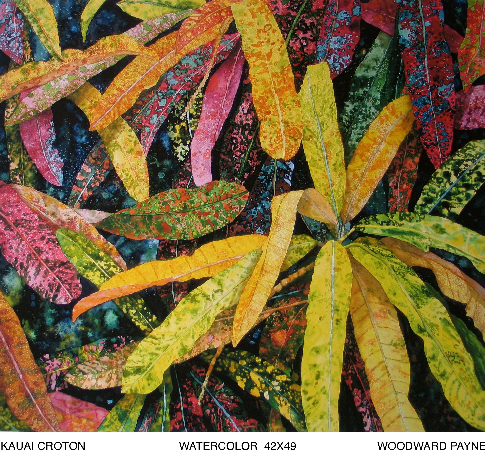 KAUAI CROTON 42X49 watercolor.jpg