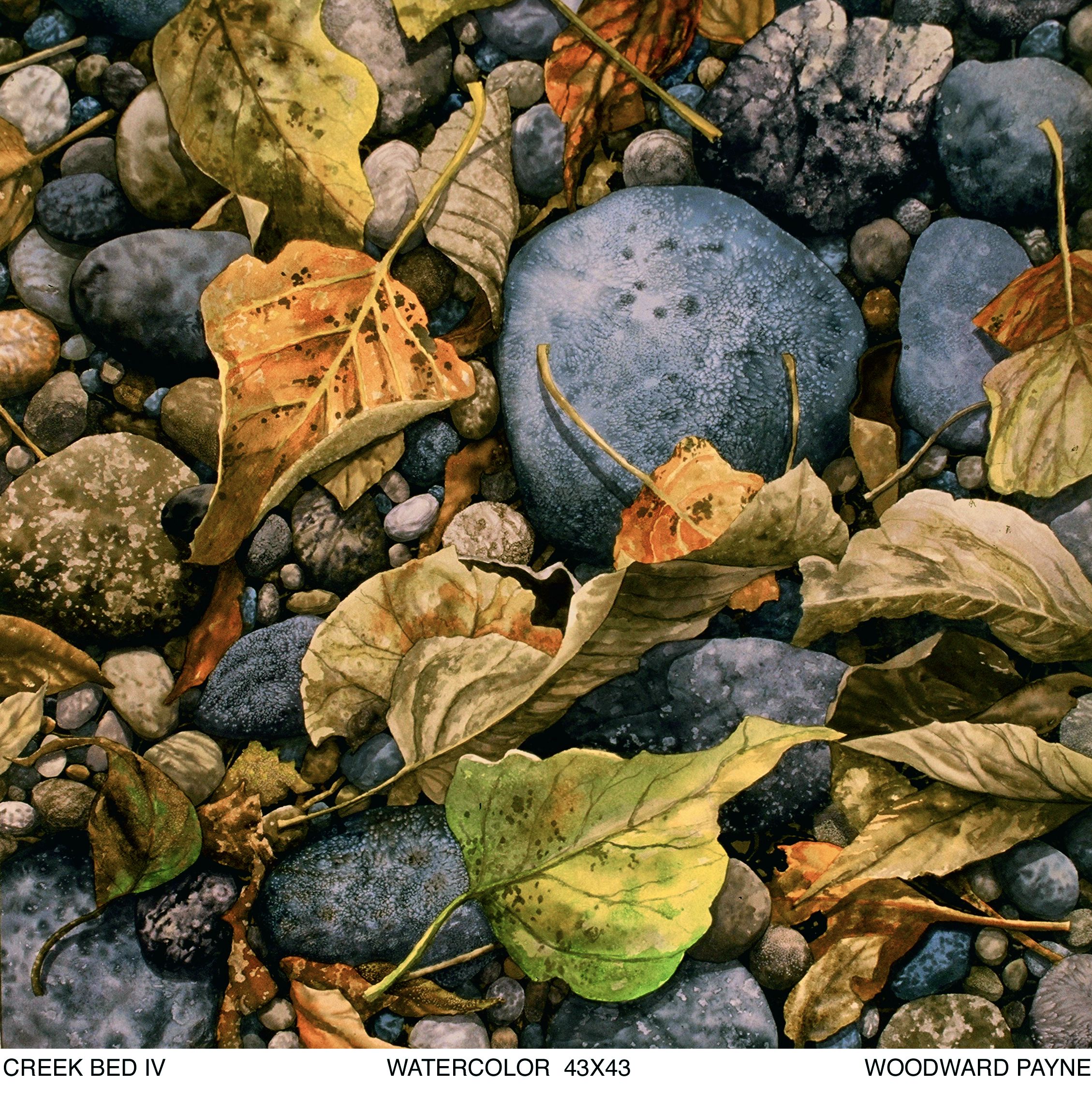 CREEK BED IV 43X43 watercolor .jpg
