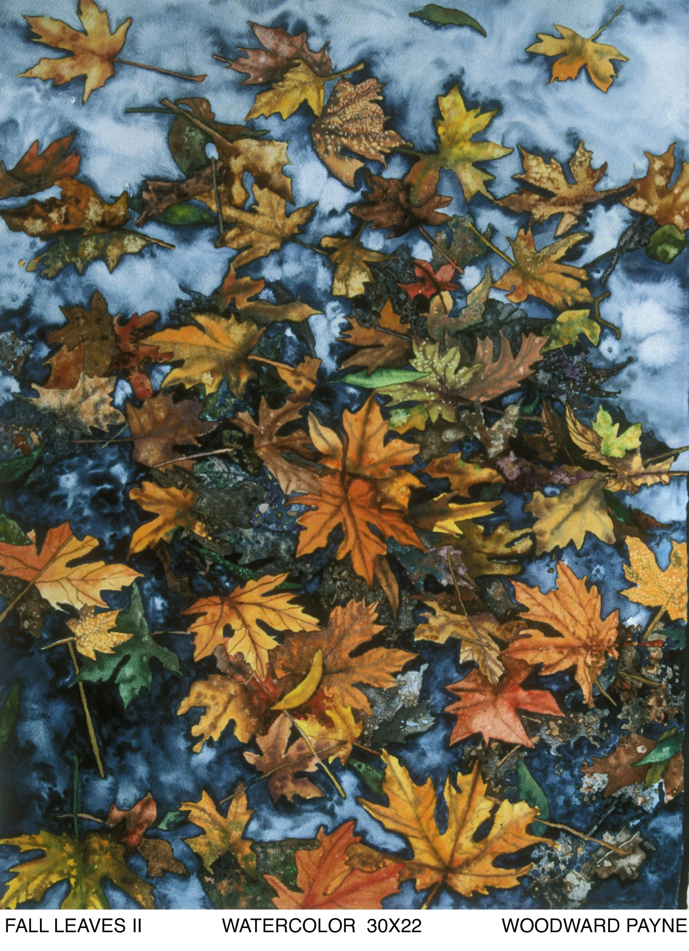 FALL LEAVES II 30X22 WC.jpg
