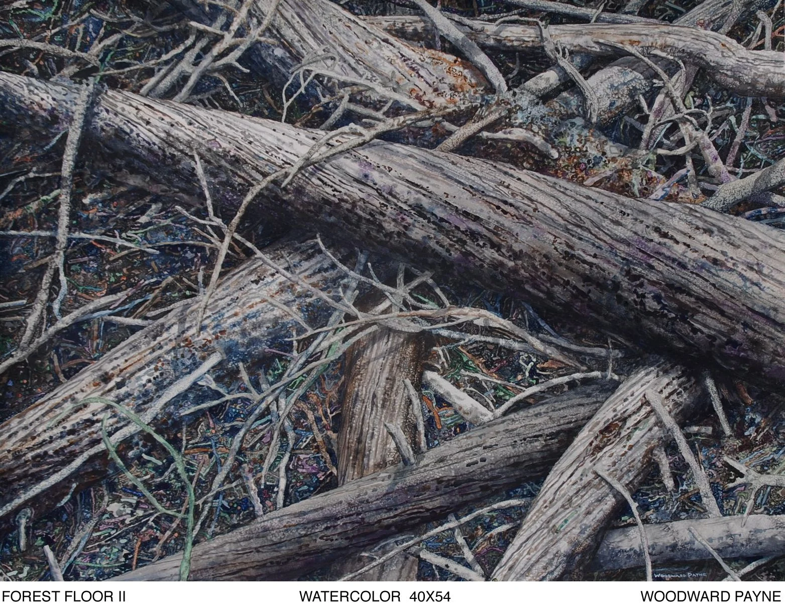 FOREST FLOOR II 40X54 watercolor.jpg
