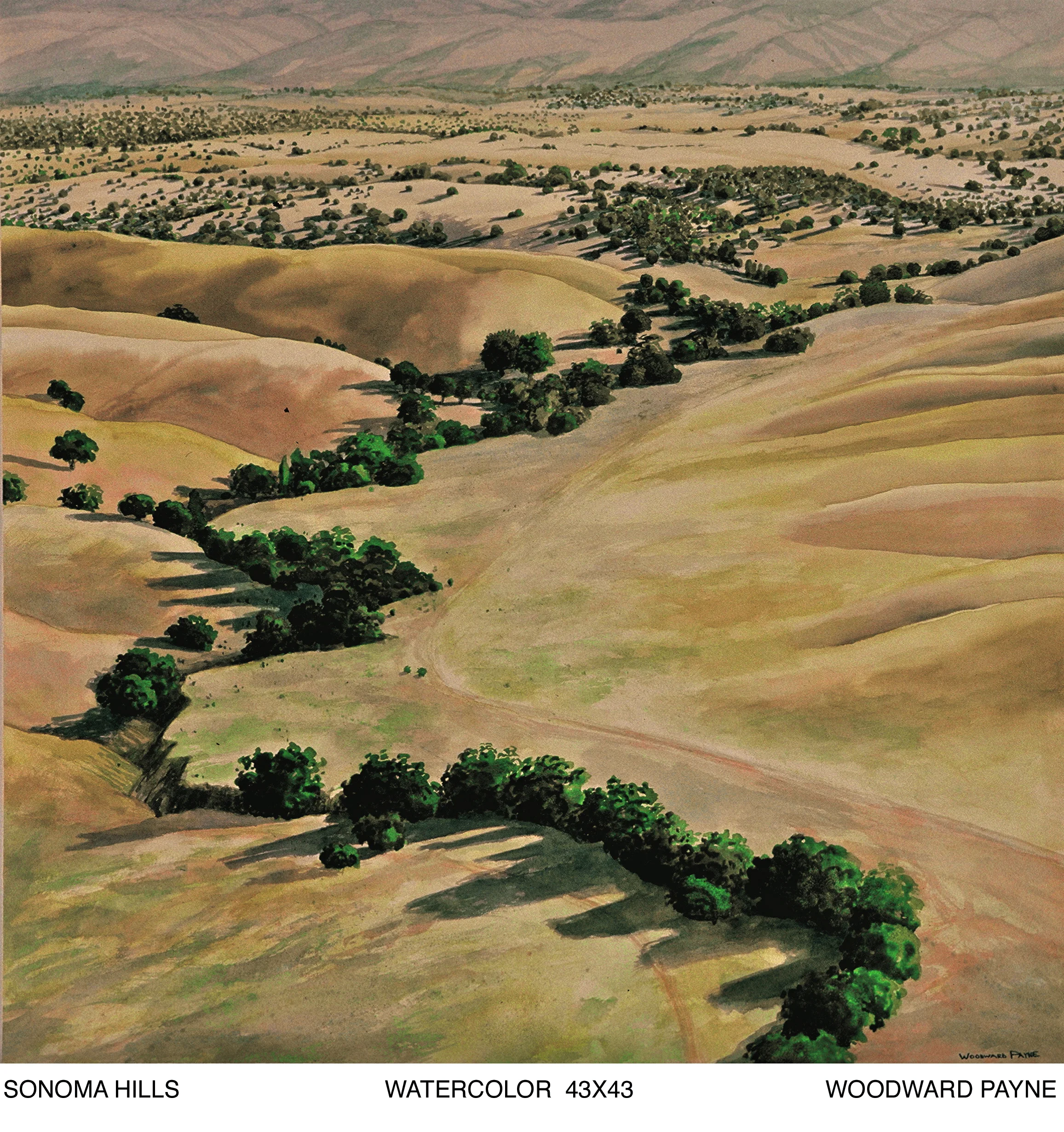 SONOMA HILLS 43X43 watercolor.jpg