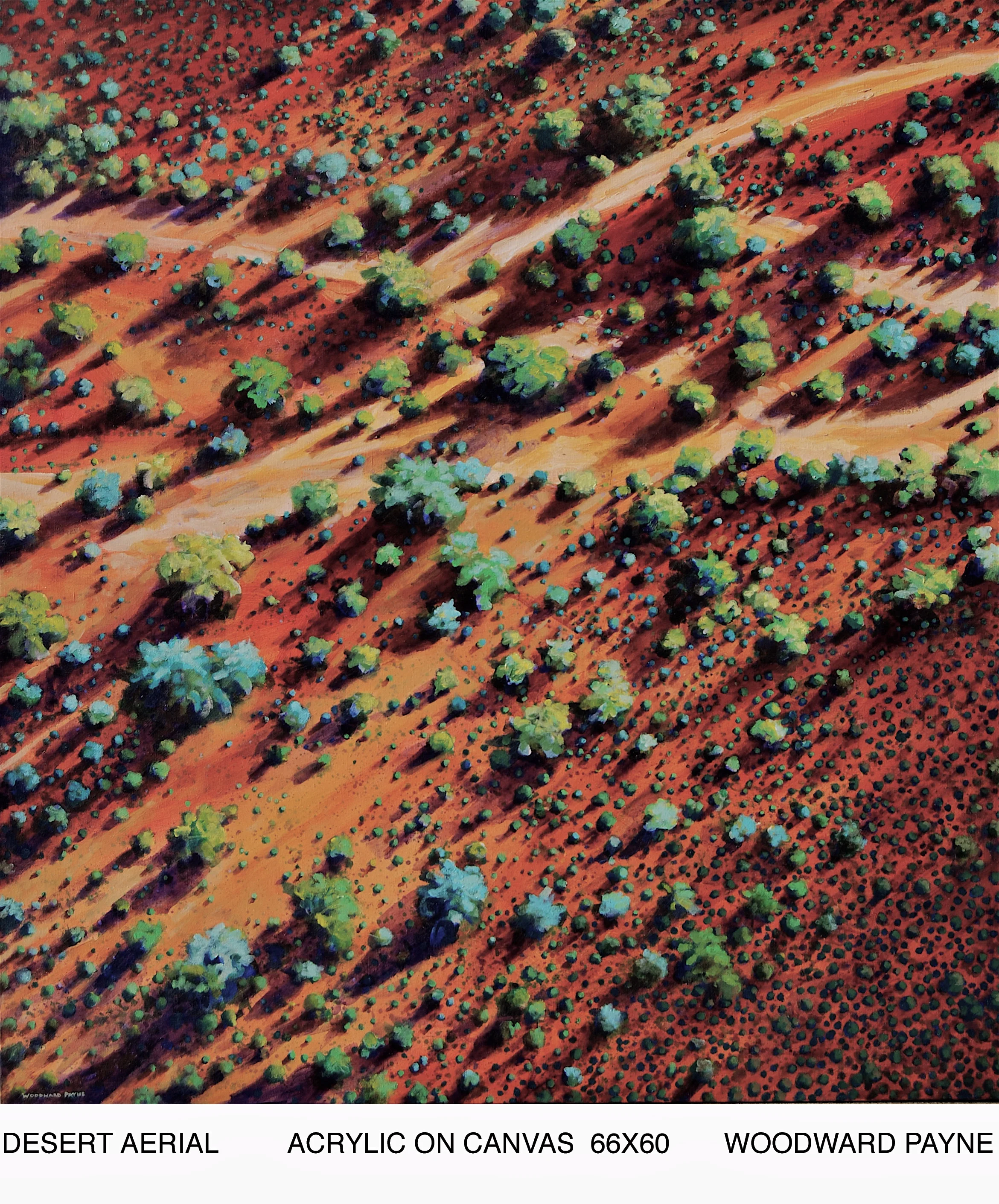 DESERT AERIAL 66X60 acrylic on canvas.jpg