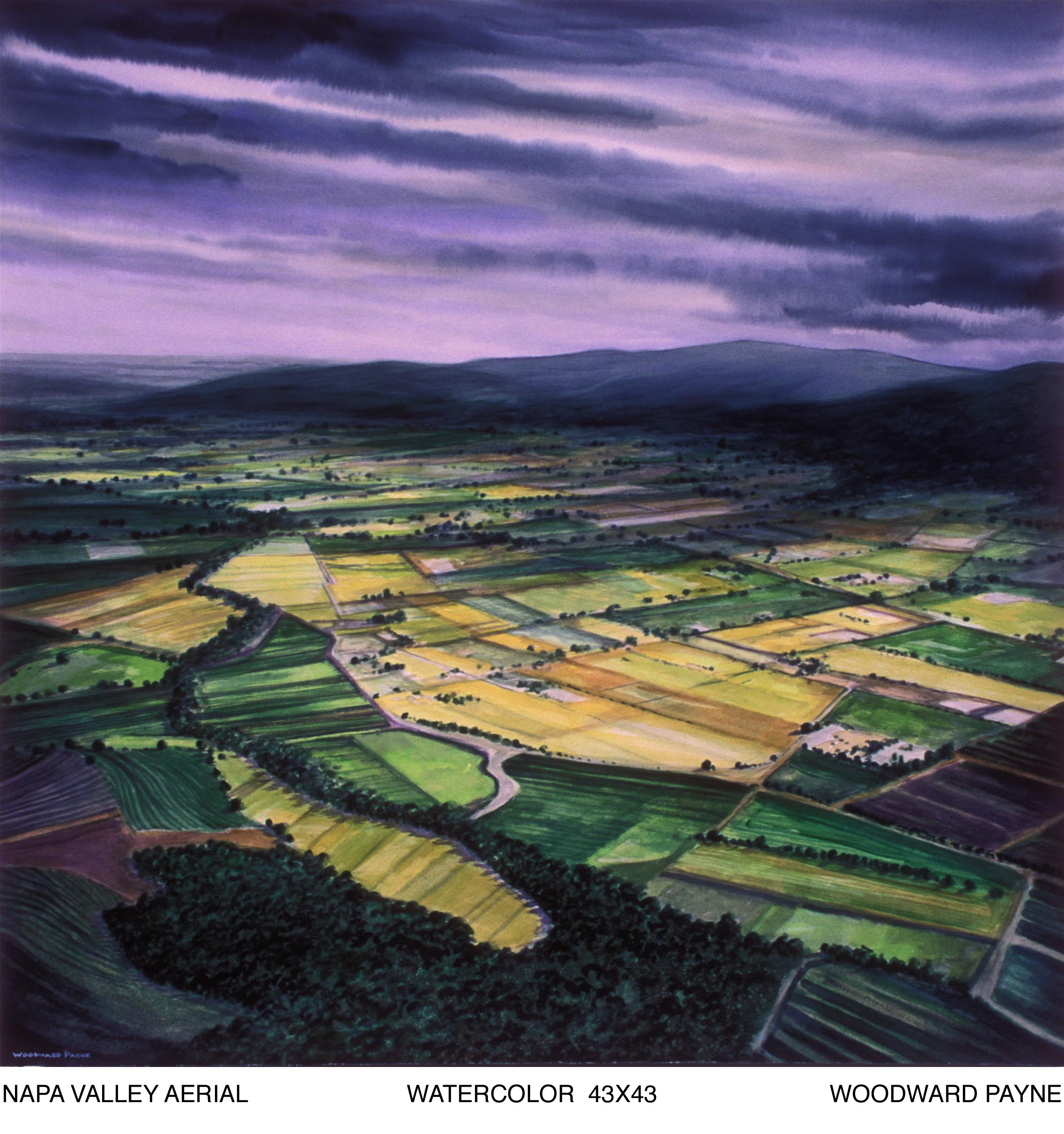 NAPA VALLEY AERIAL 43X43 WC.jpg