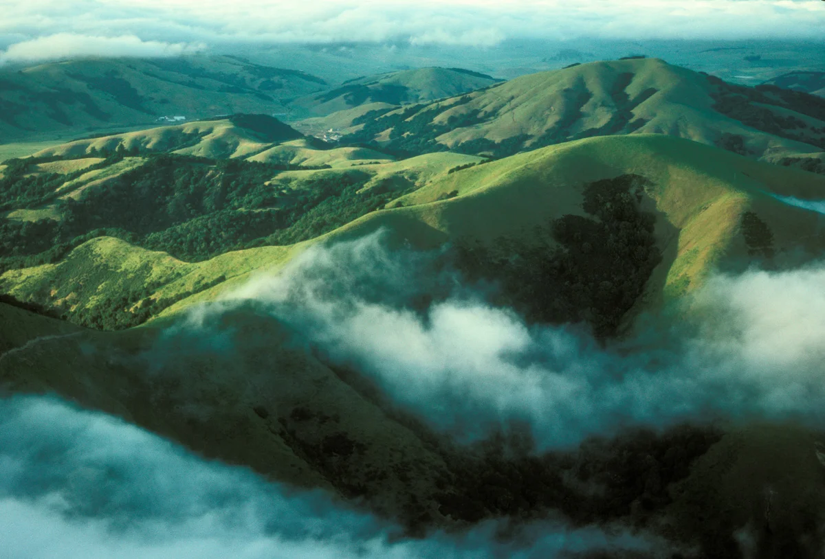 MARIN HILLS,AERIAL.jpg