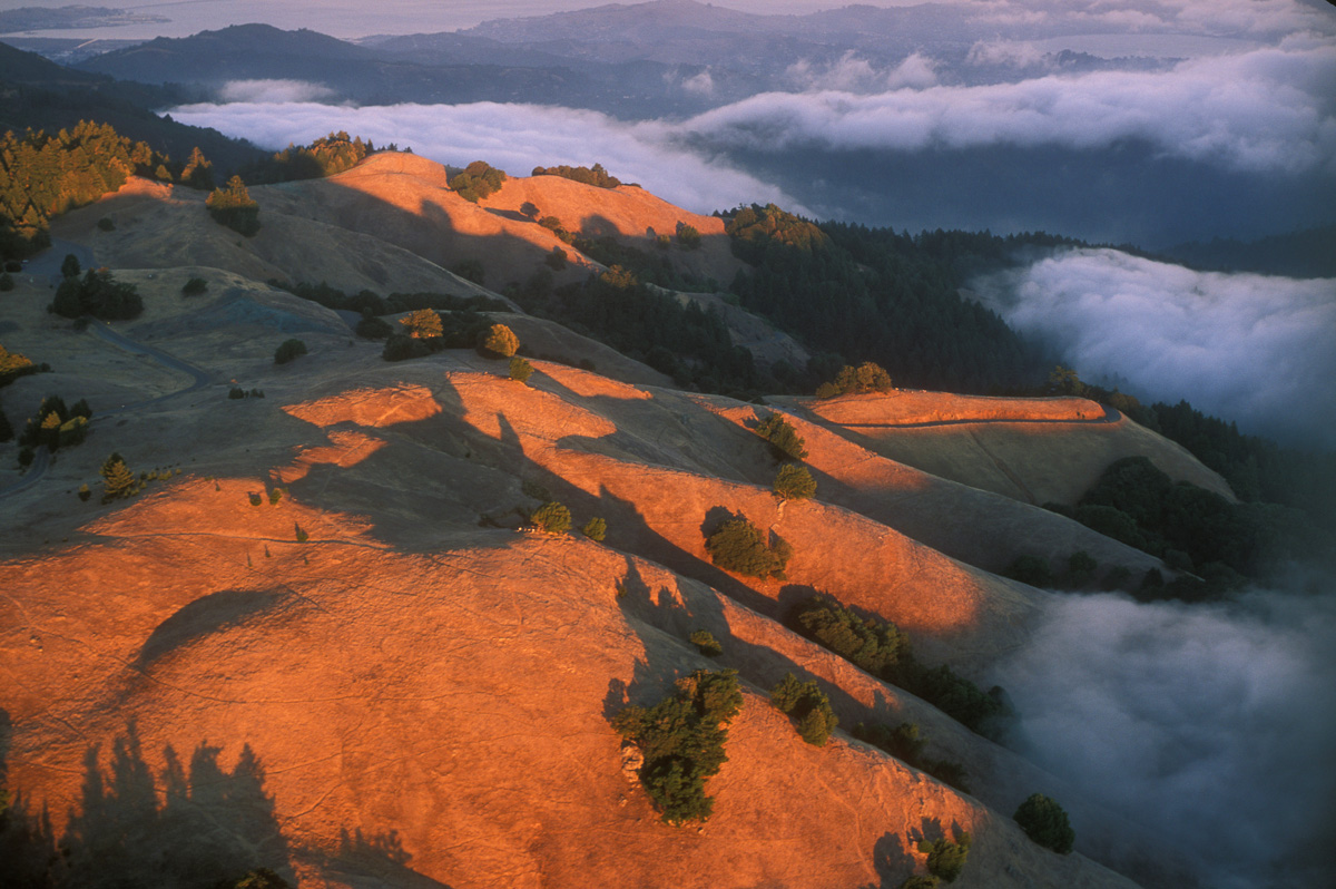 MT. TAMALPAIS, AERIAL.jpg