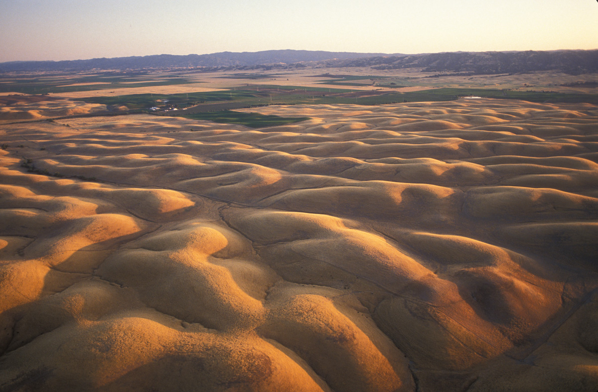 SACRAMENTO VALLEY, SUMMER.jpg