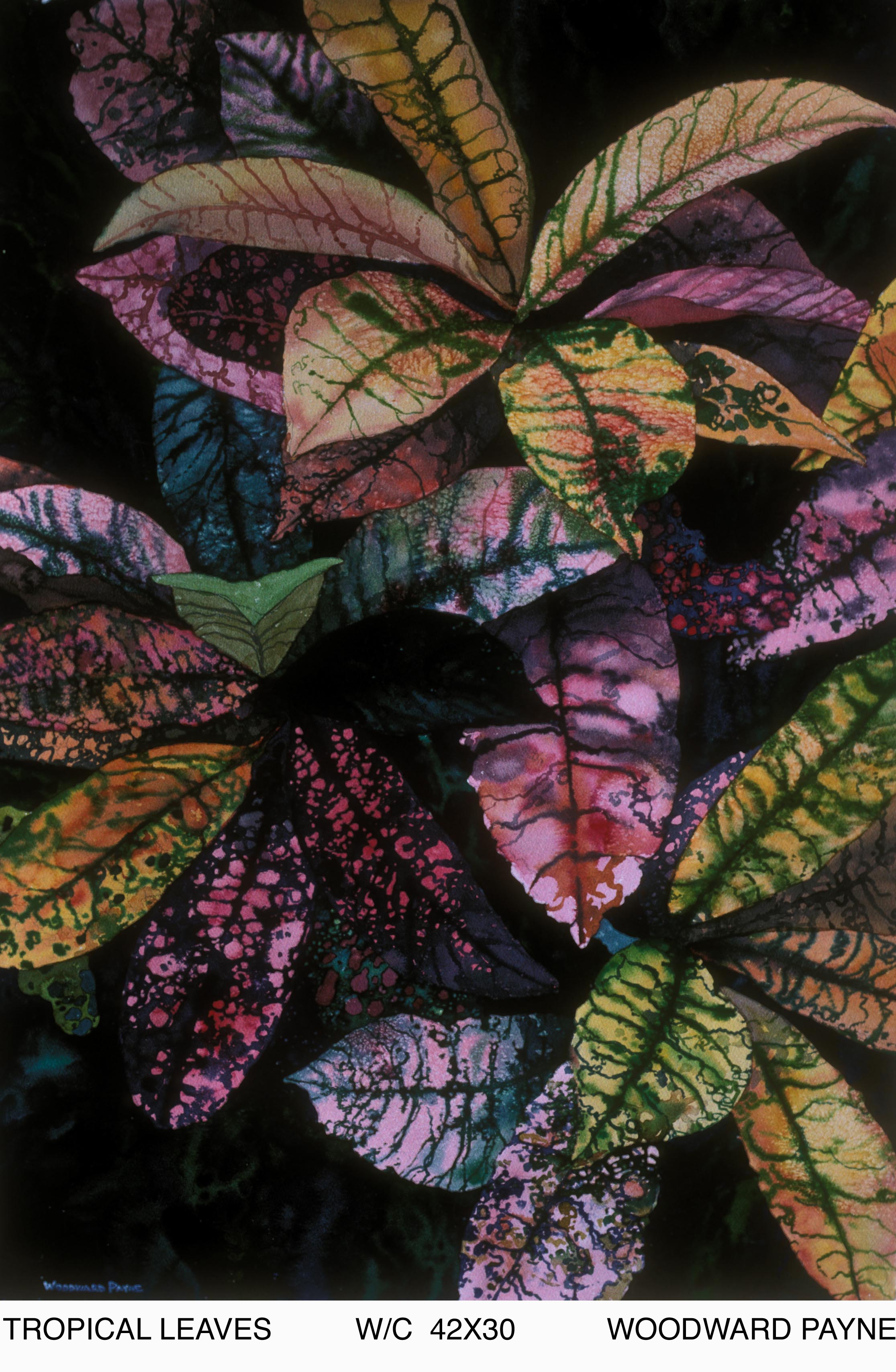 TROPICAL LEAVES 42X30 WC .jpg