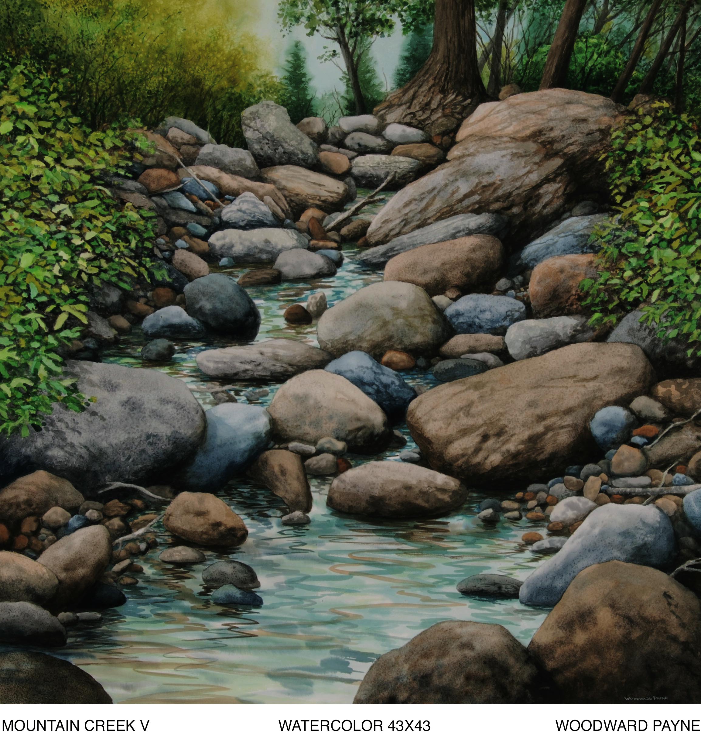 MT. CREEK V 43X43 watercolor copy.jpg