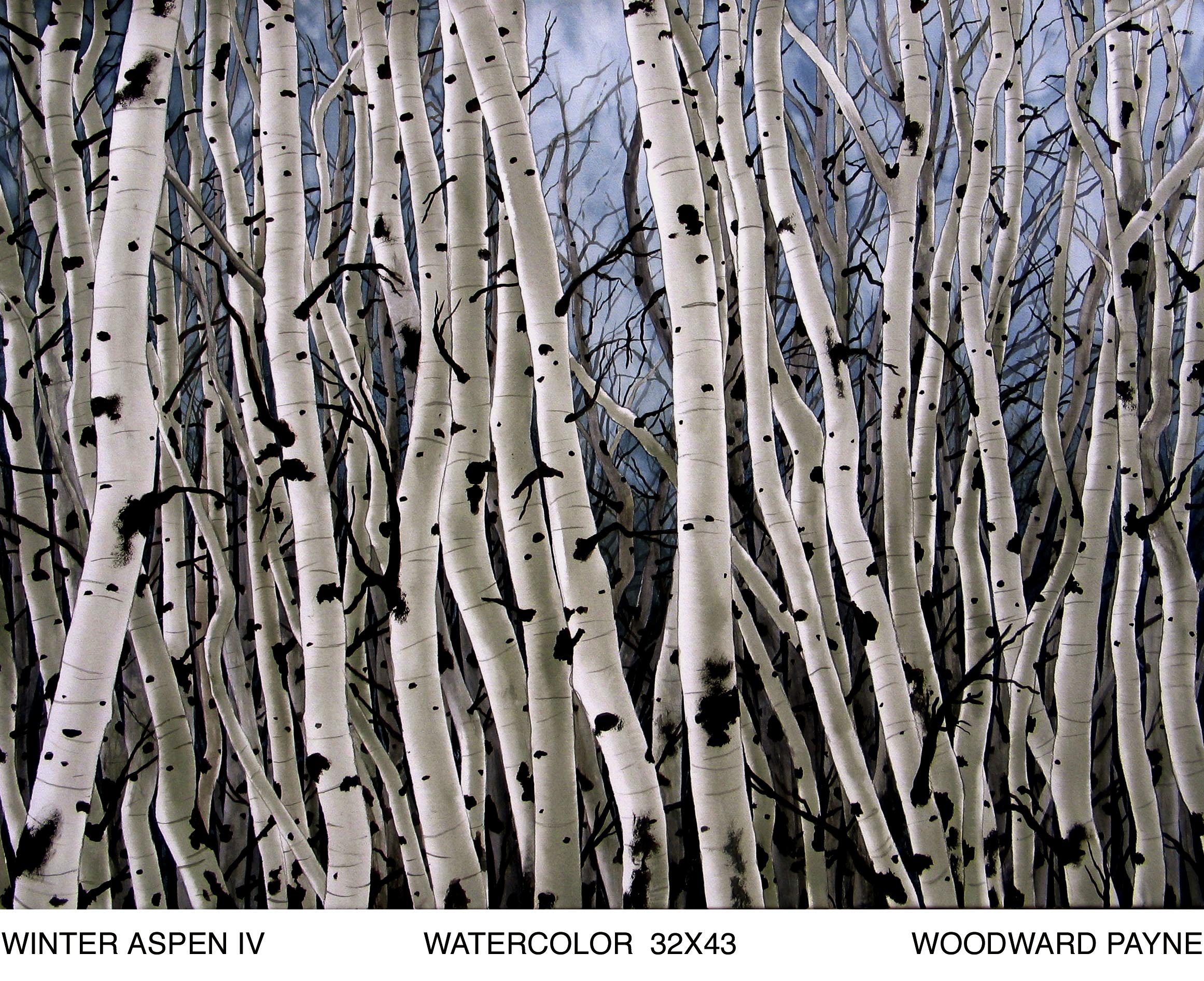 WINTERASPEN IV 32X43 WATERCOLOR.jpg