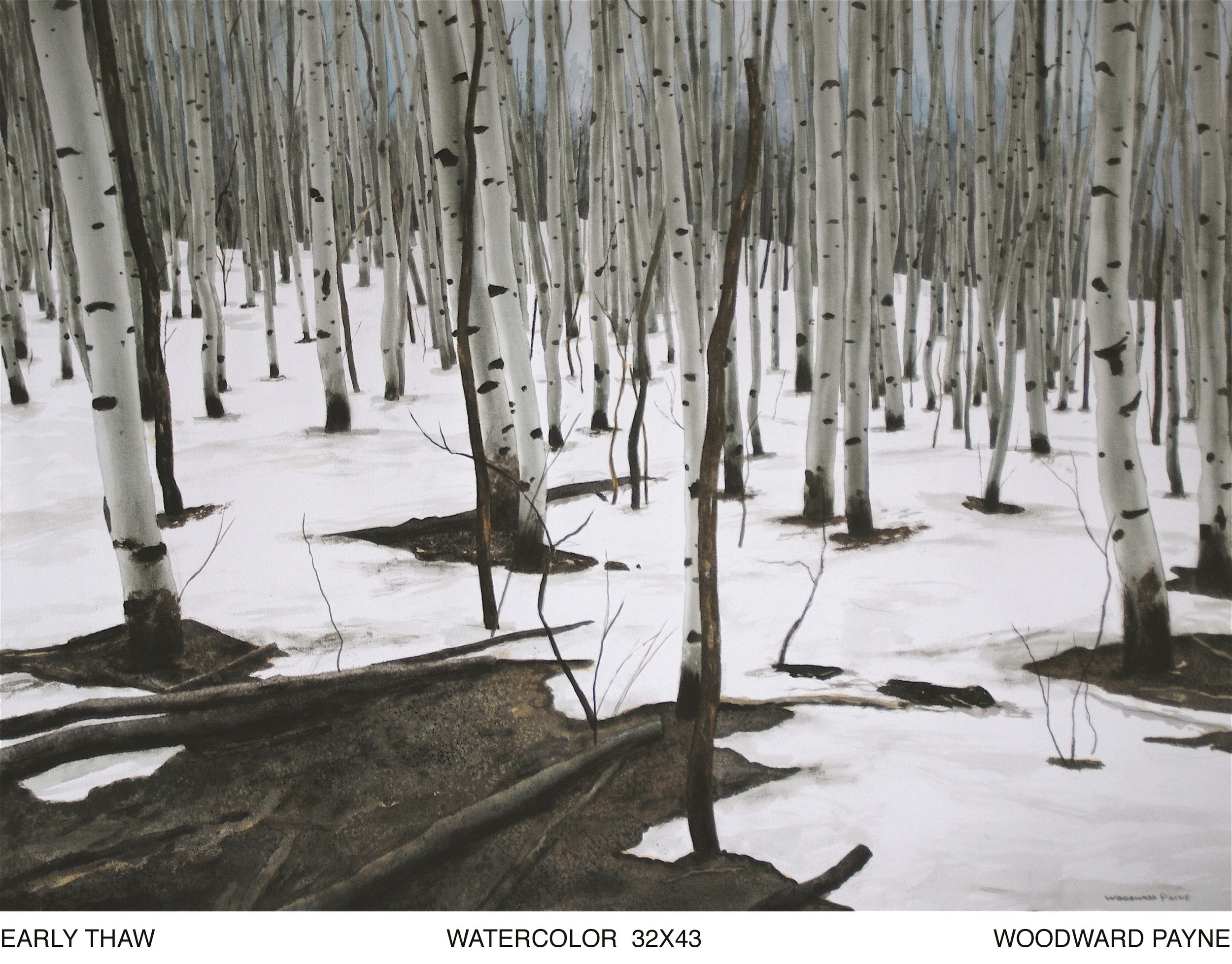 EARLY THAW 32X43 watercolor.jpg