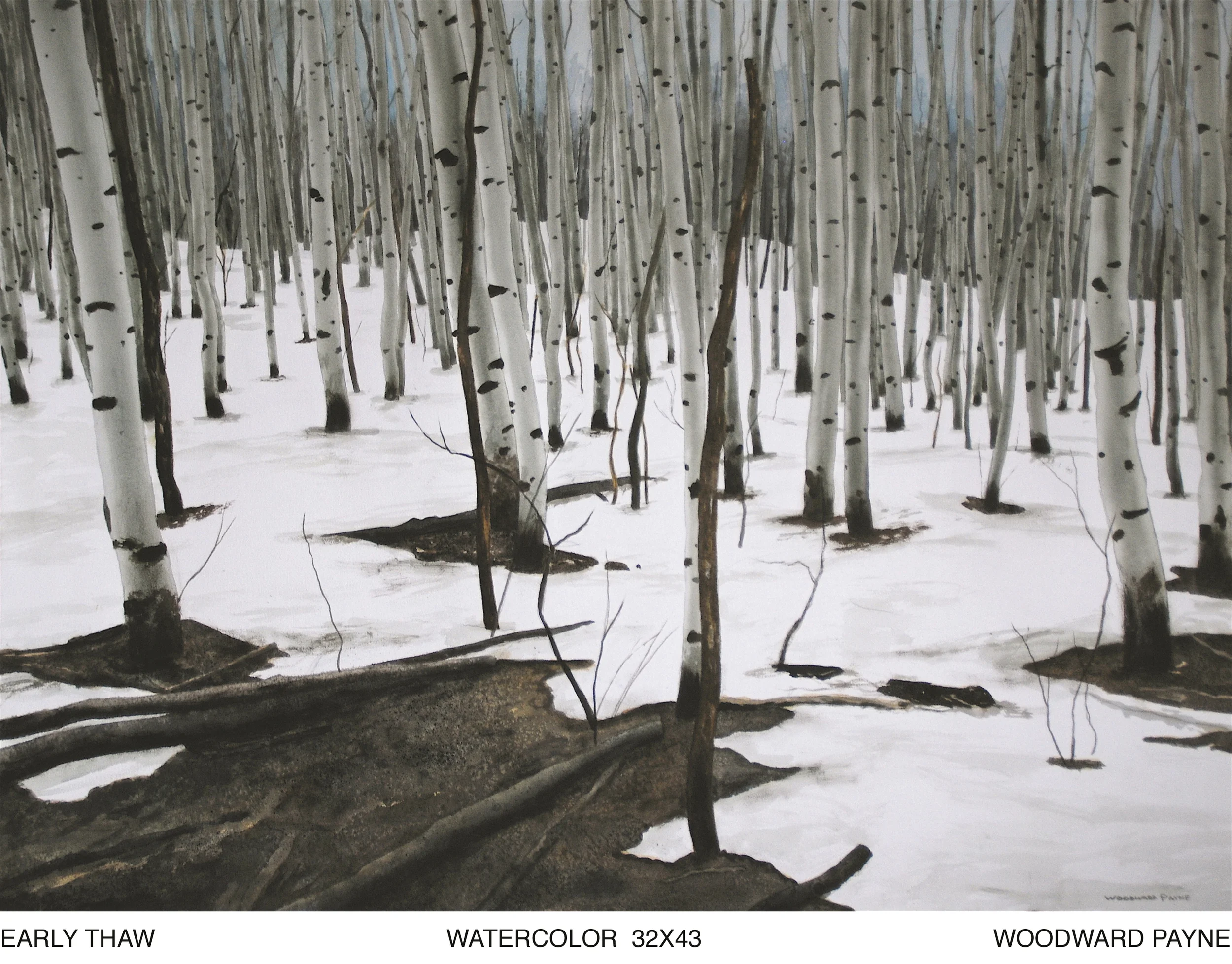 EARLY THAW 32X43 watercolor.jpg