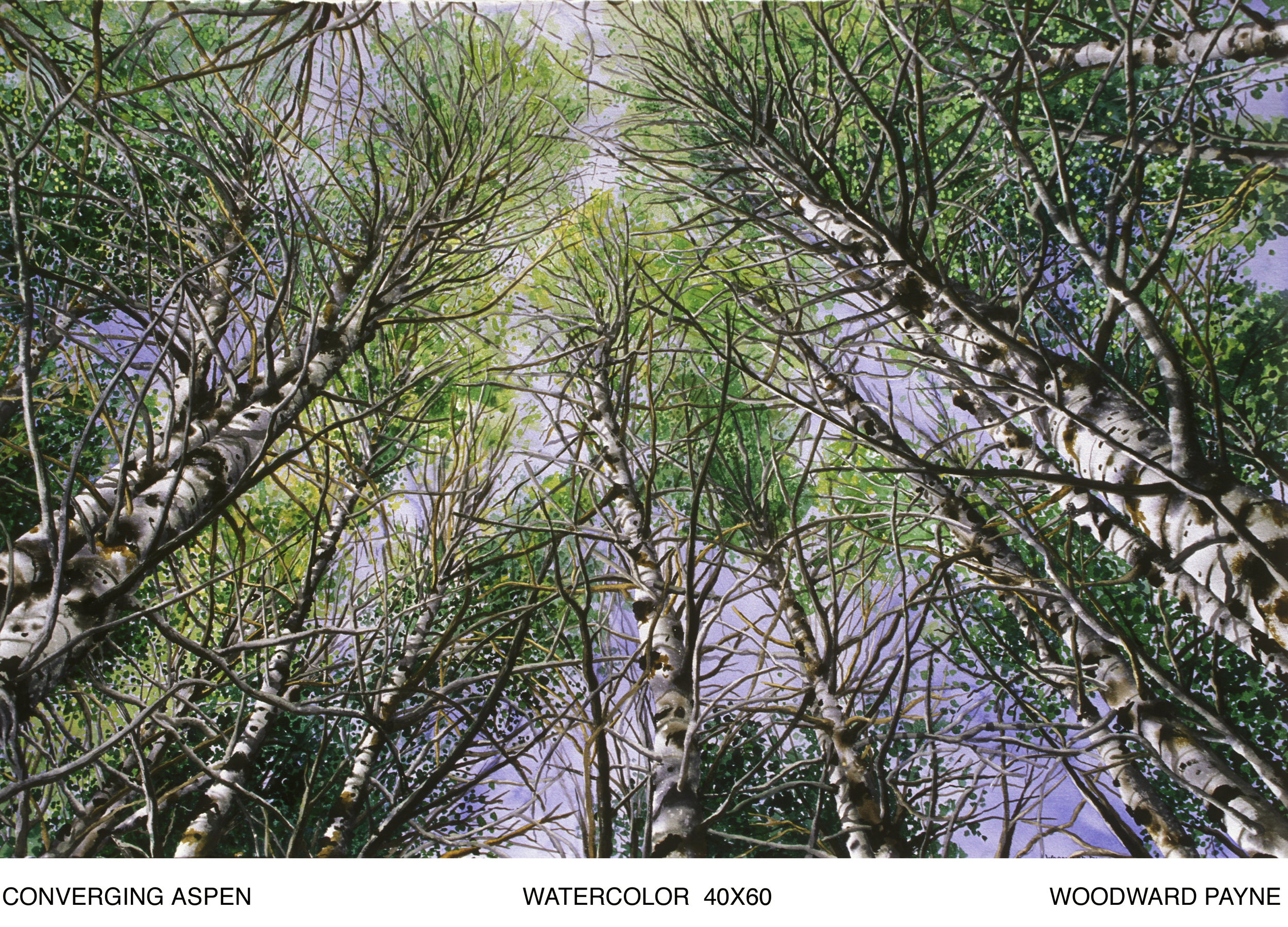 CONVERGING ASPEN 40X60 WC .jpg