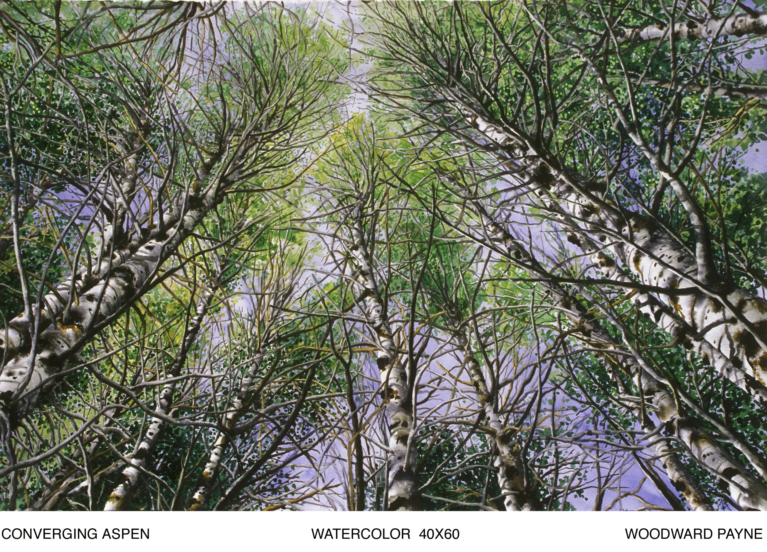 CONVERGING ASPEN 40X60 WC .jpg