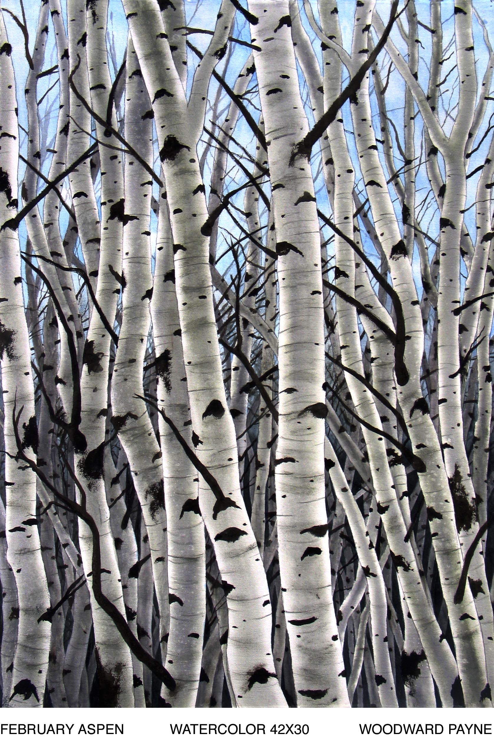 FEBRUARY ASPEN 42X30 watercolor.jpg