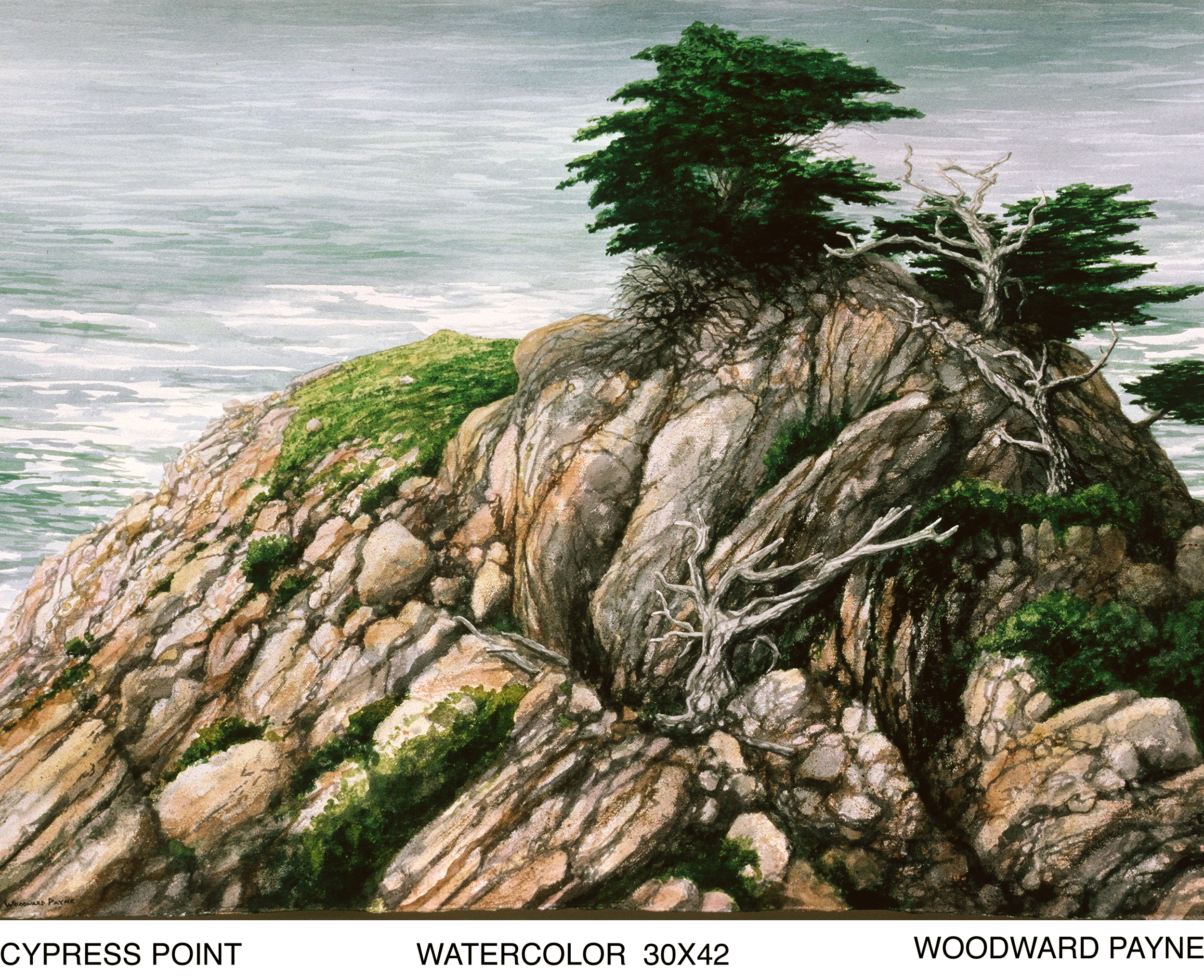 CYPRESS POINT.jpg