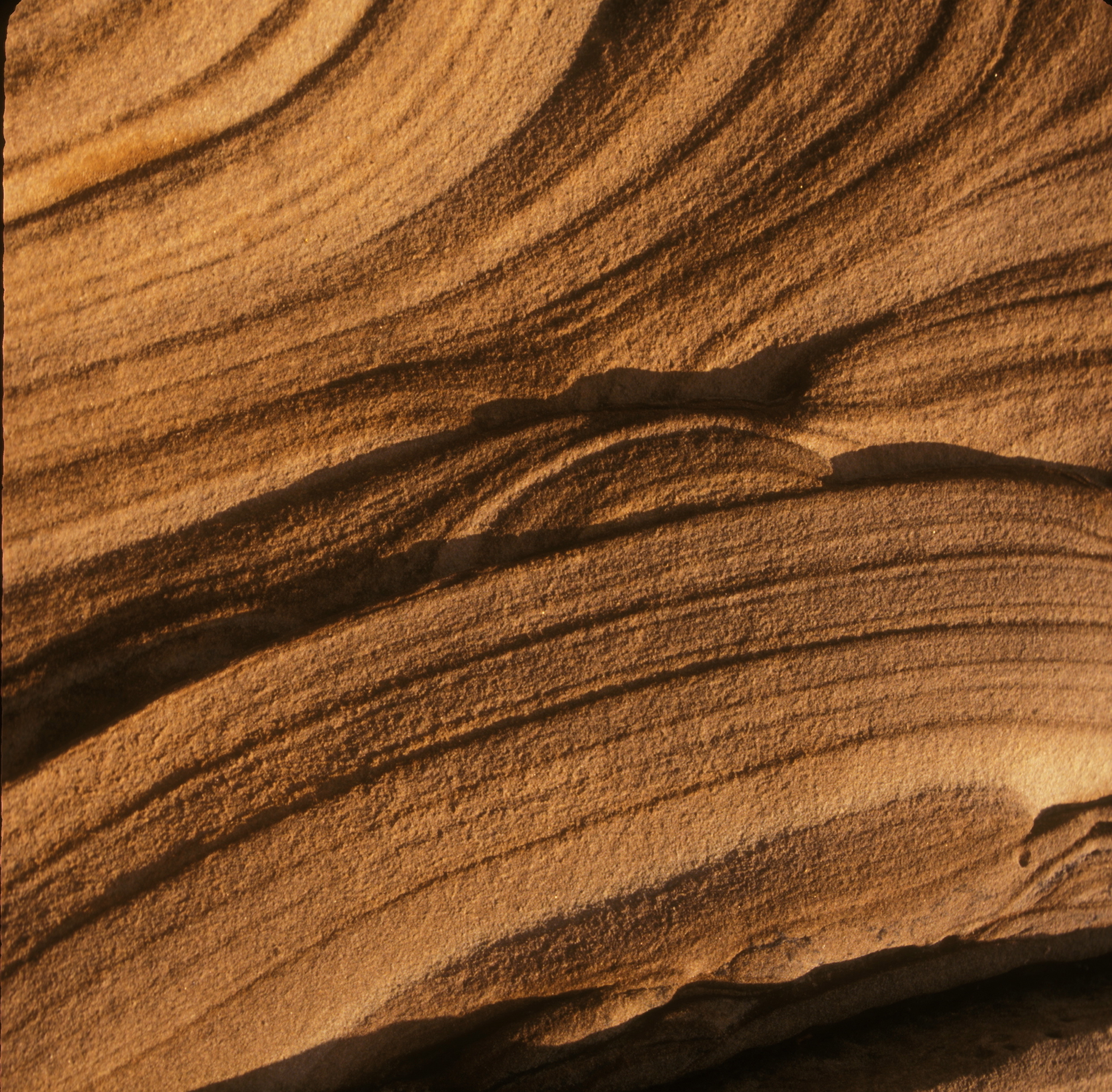 SANDSTONE DESIGN .jpg