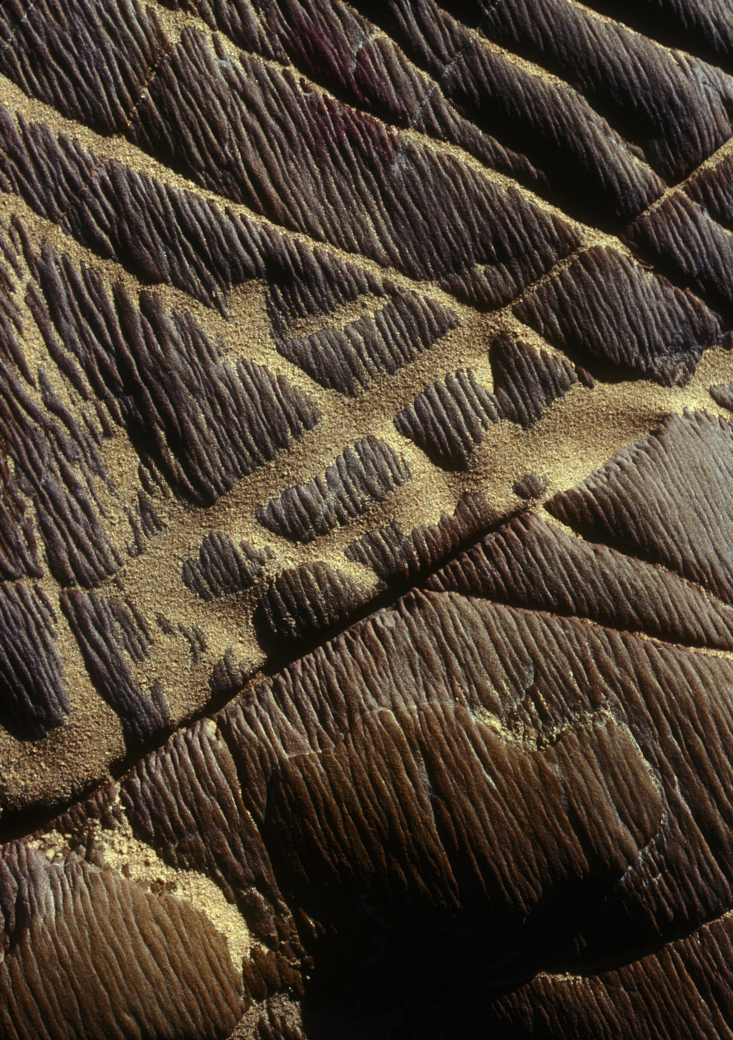 BEACH ROCK - Version 2.jpg