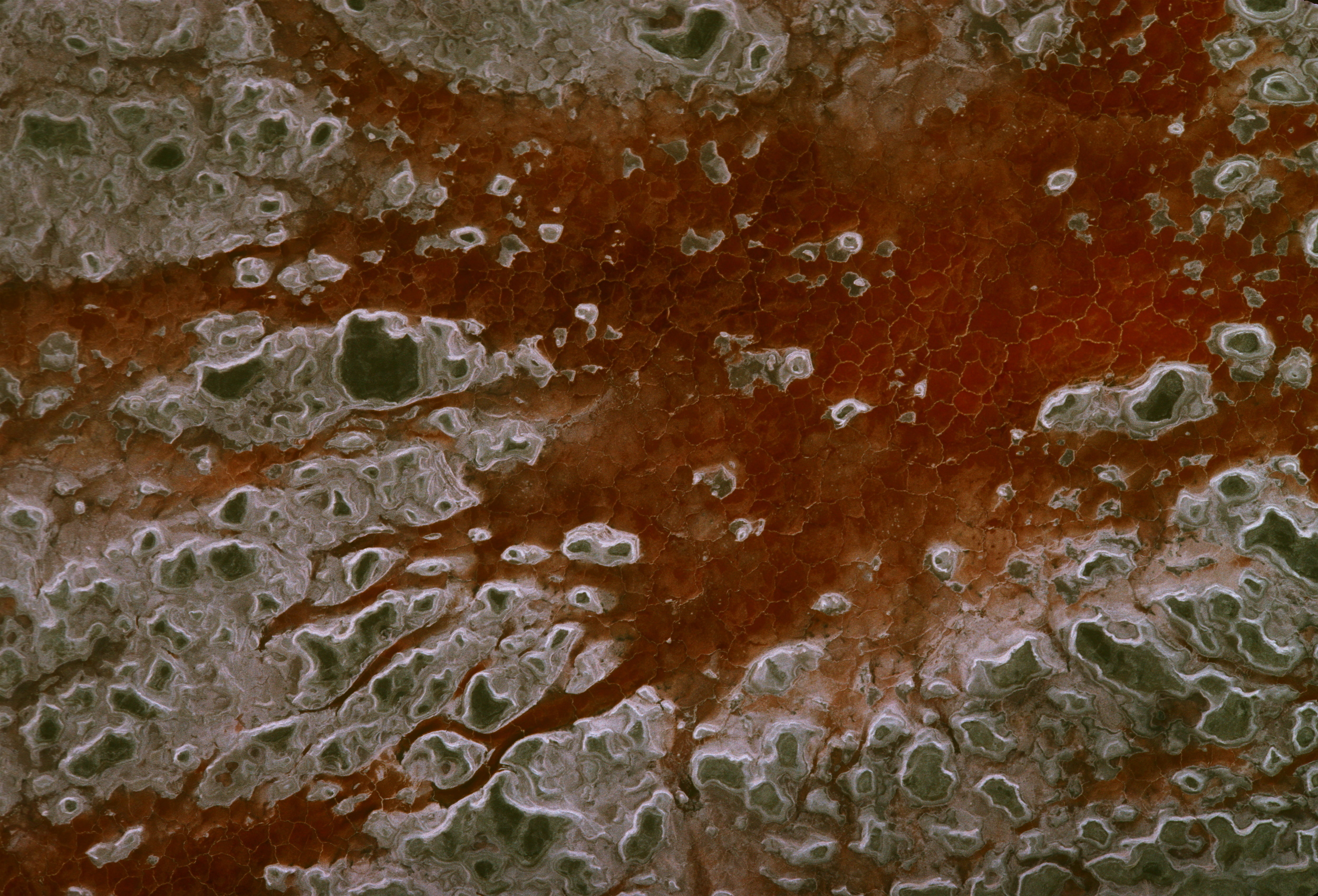 LAKE BED, NV, AERIAL .jpg