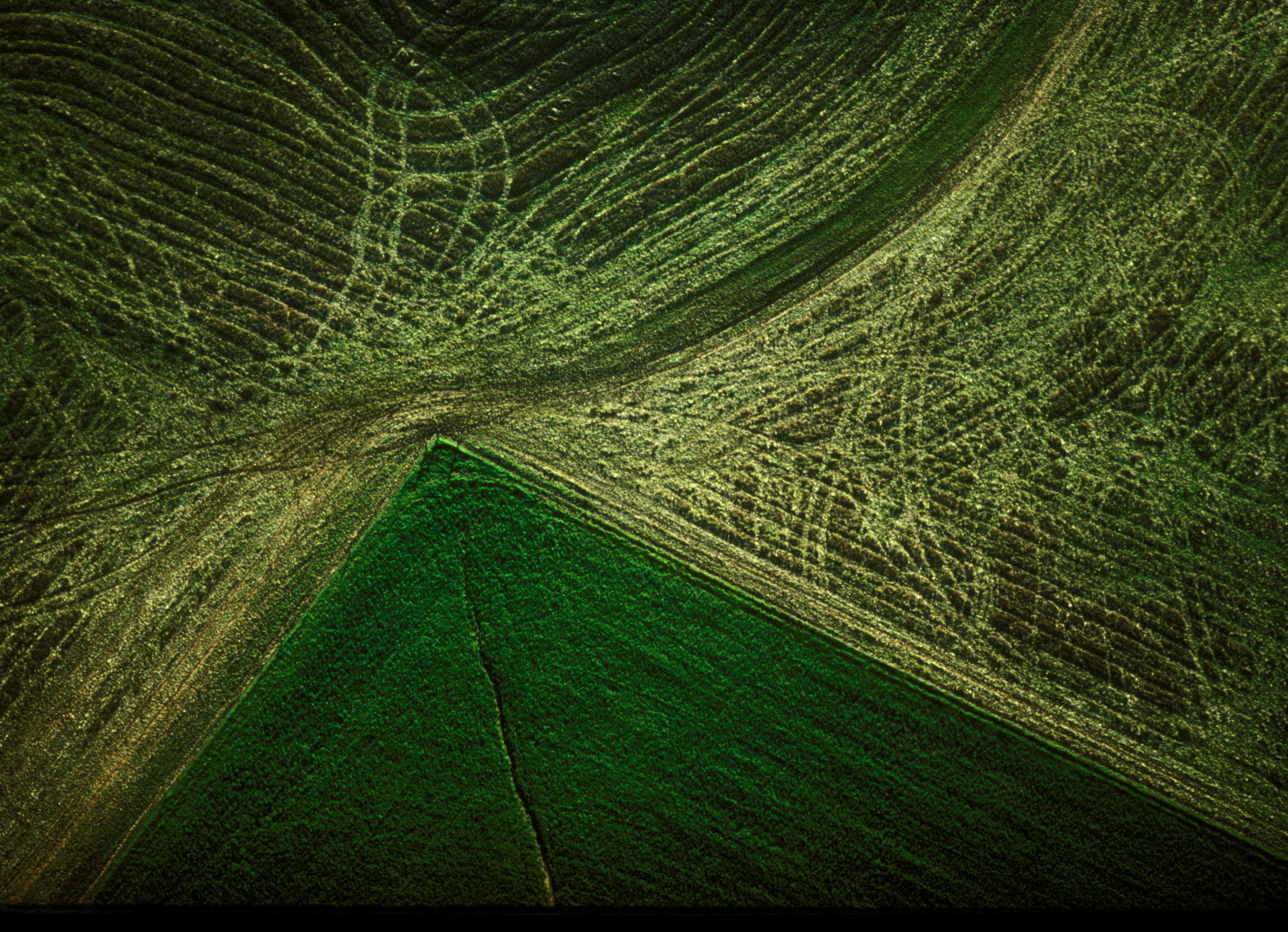 TRACTOR TRACKS.jpg