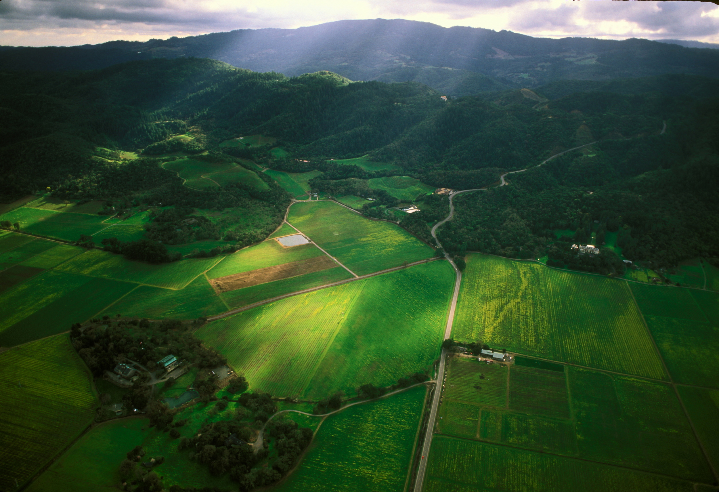 NAPA VALLEY AERIAL 4 .jpg