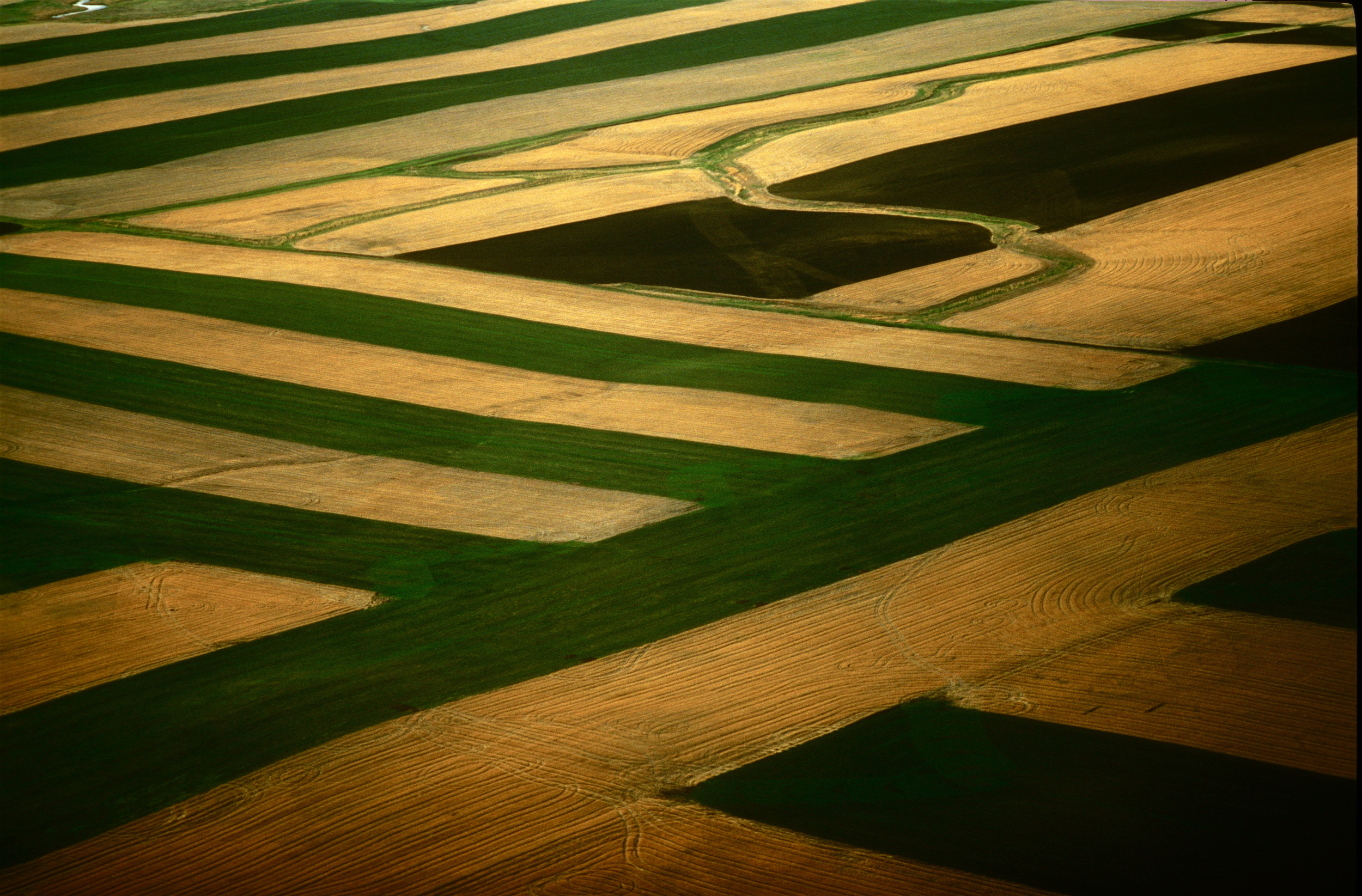 MONTANA FILDS, AERIAL .jpg