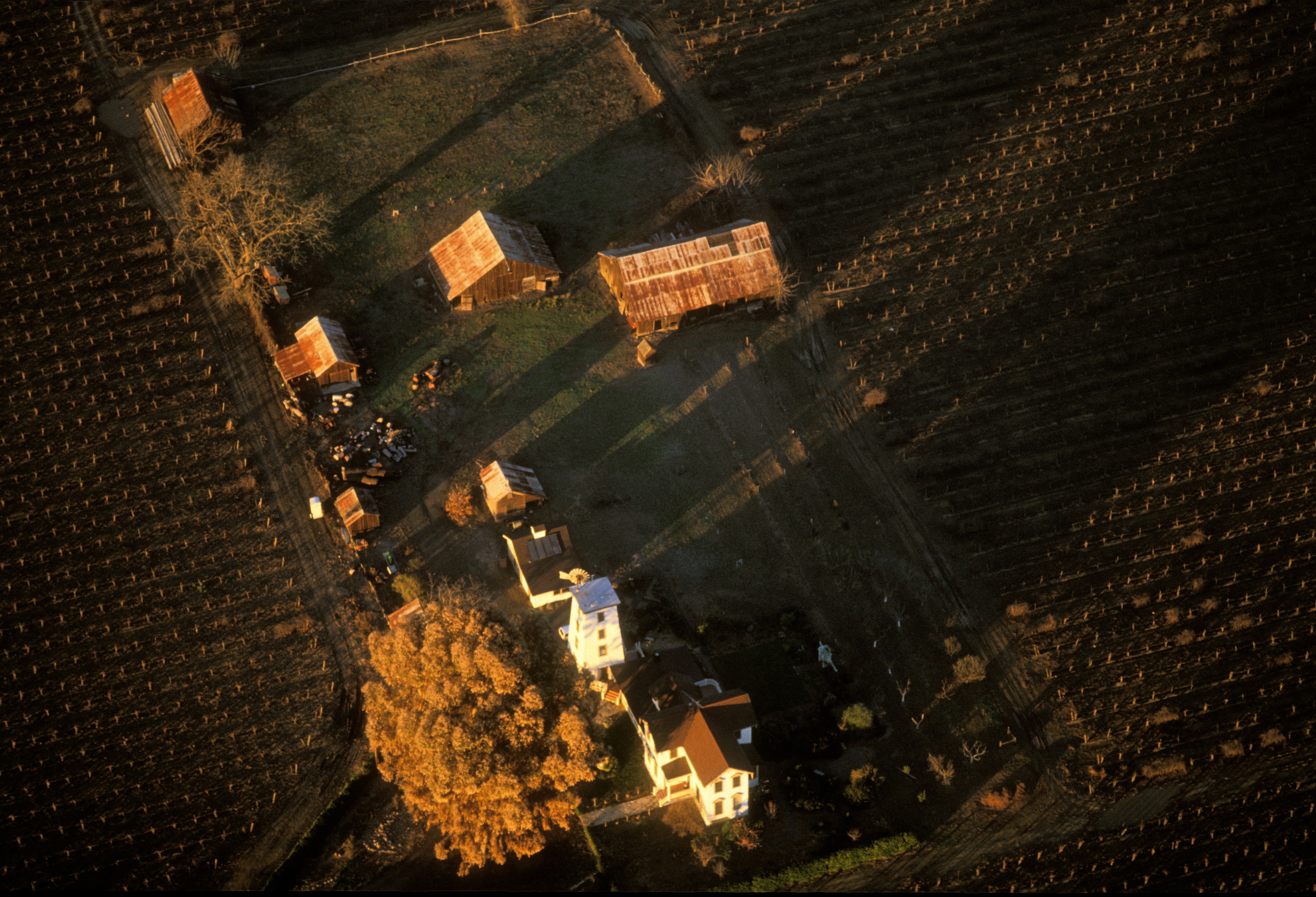 SACRAMENTO VALLEY FARM.jpg