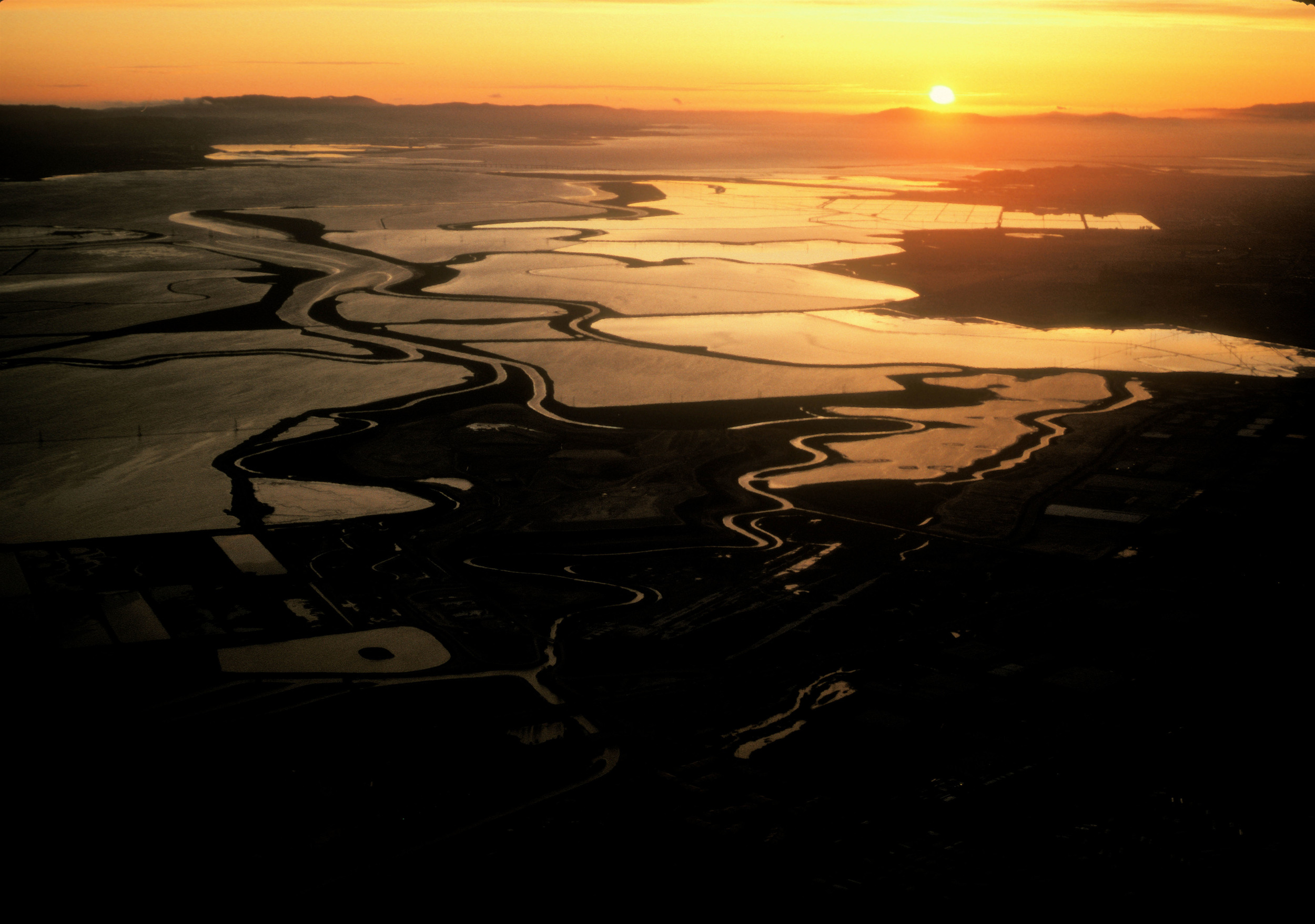 SALT FLATS, EVENING.jpg