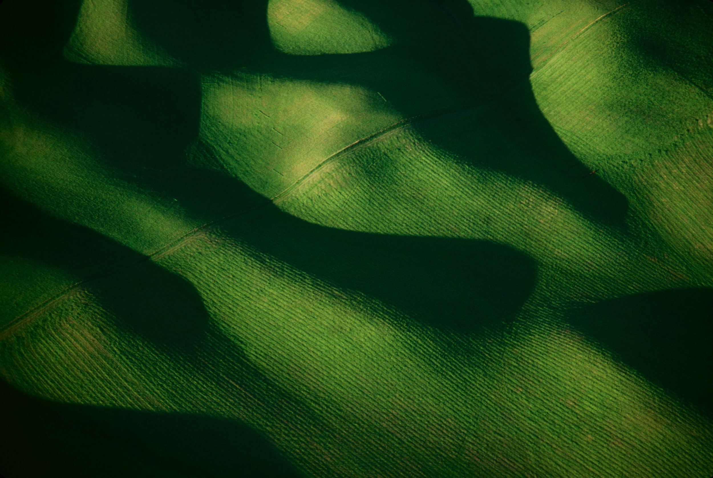 HILL SHADOWS.jpg