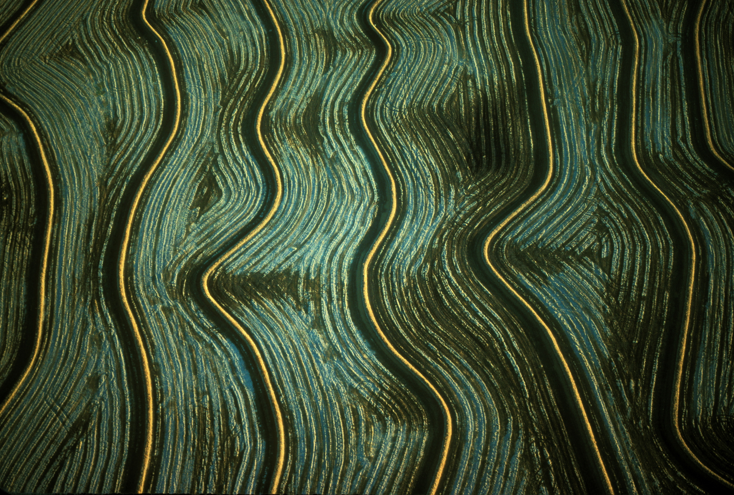 DRY RICE FIELDS III.jpg