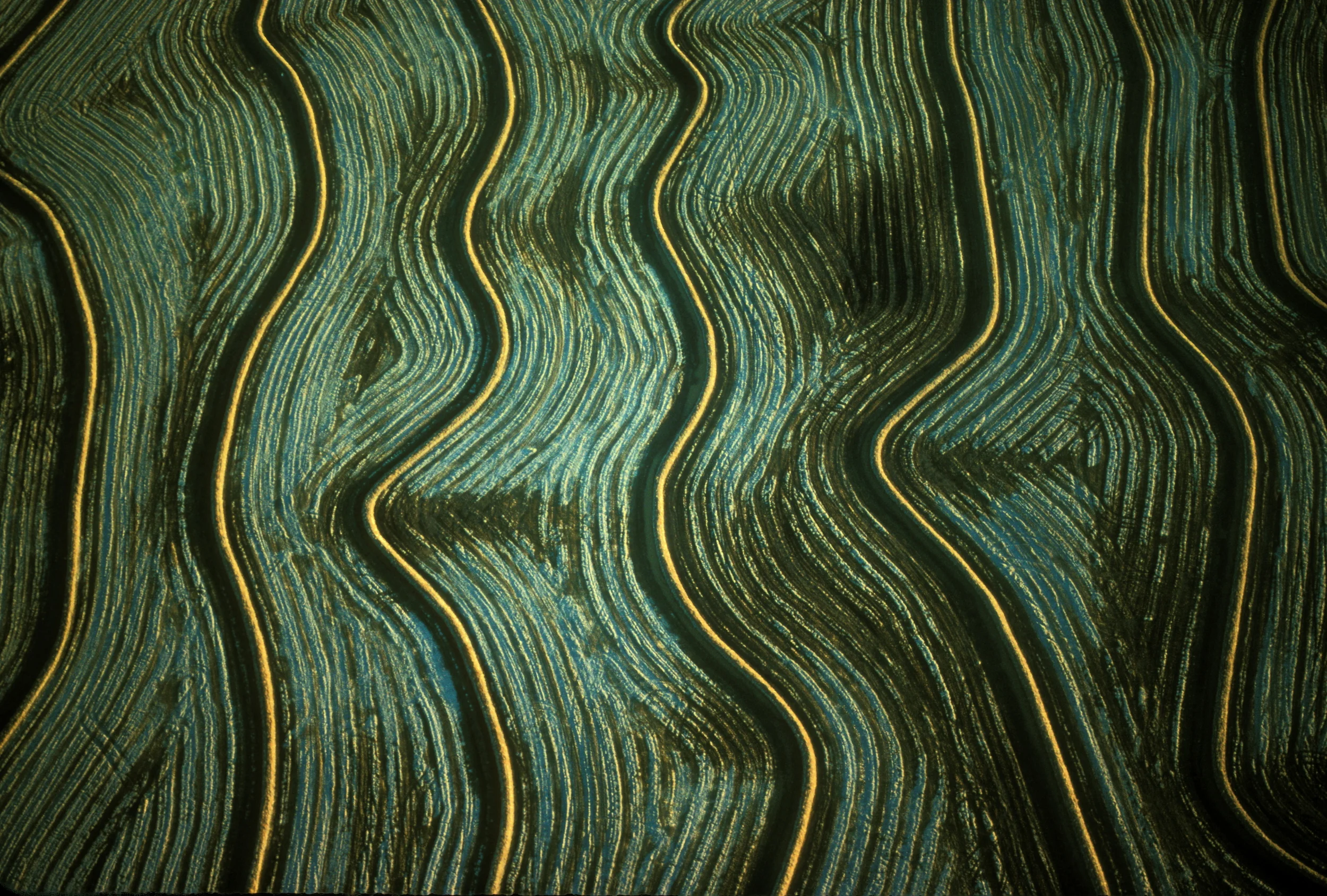 DRY RICE FIELDS III.jpg