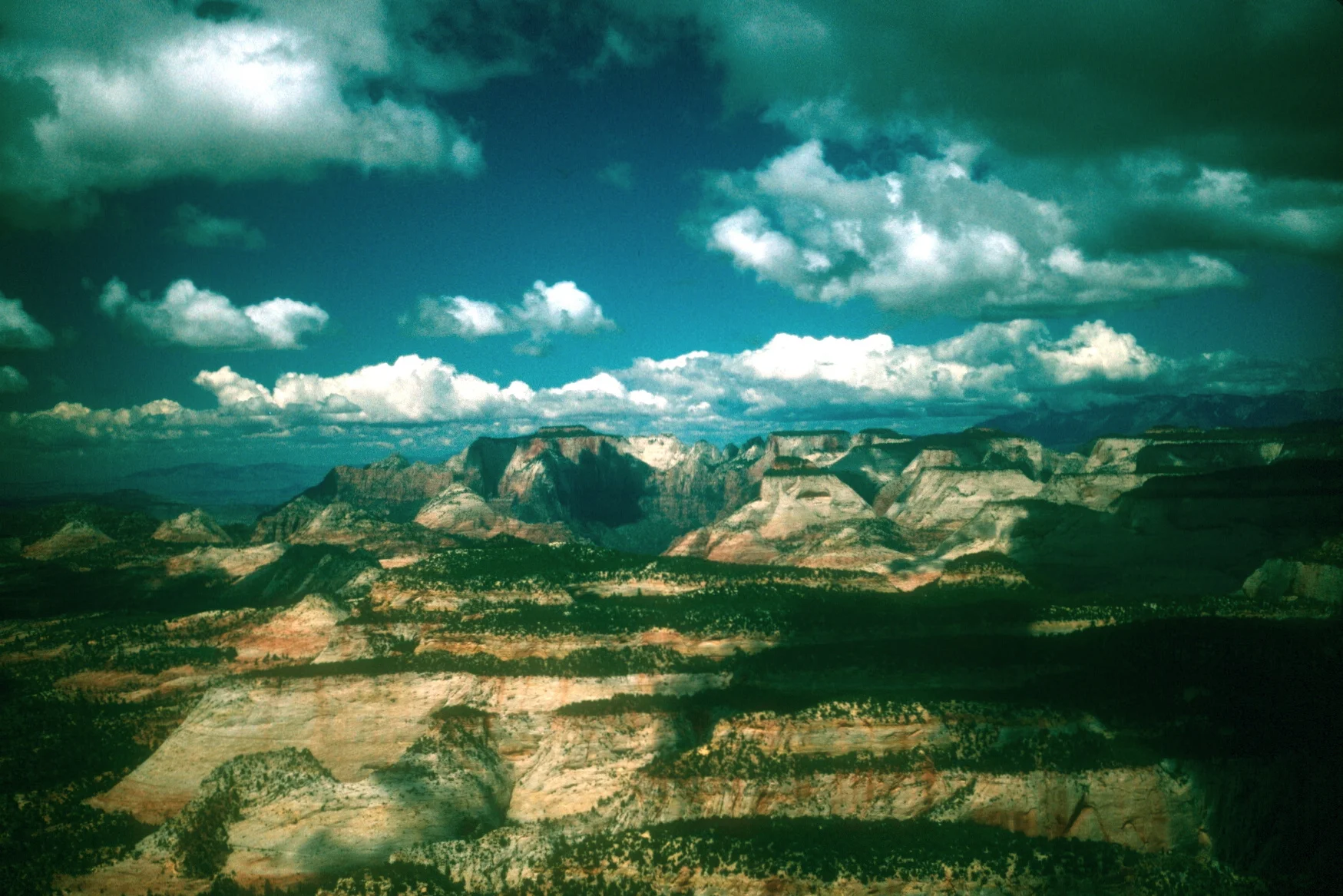 Scan-111007-0028.jpg