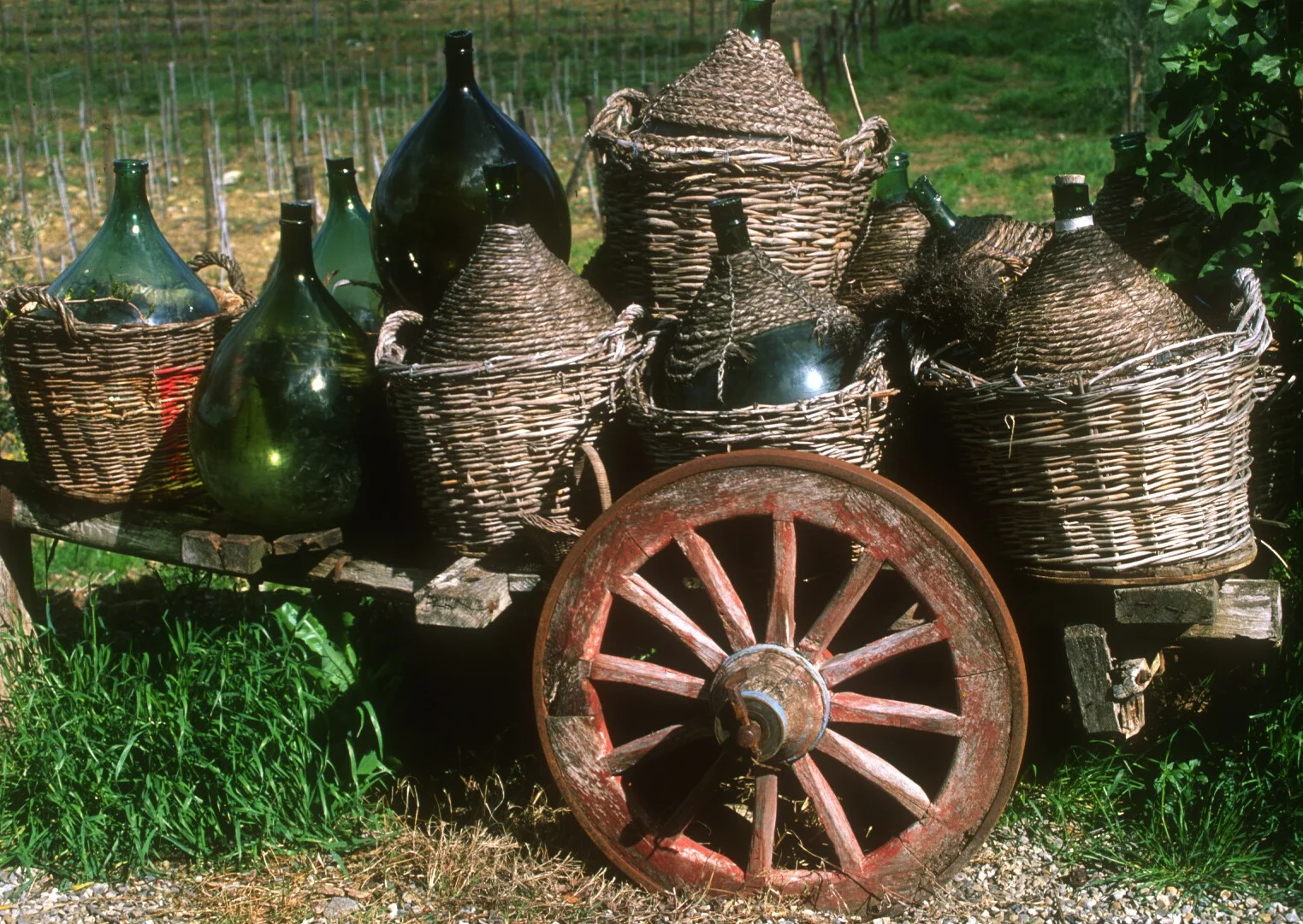 Scan-111114-0047.jpg