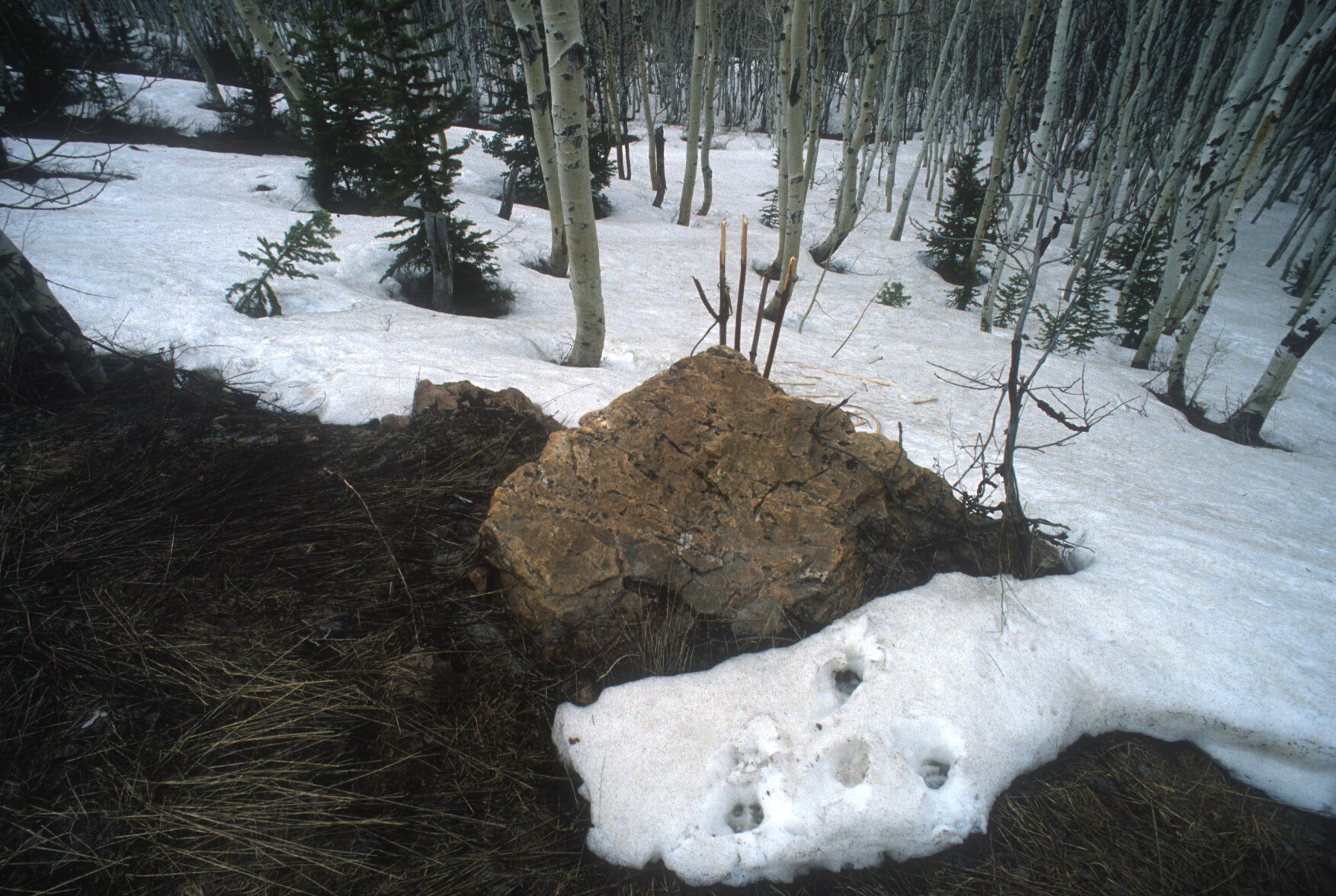 Scan-120224-0052.jpg