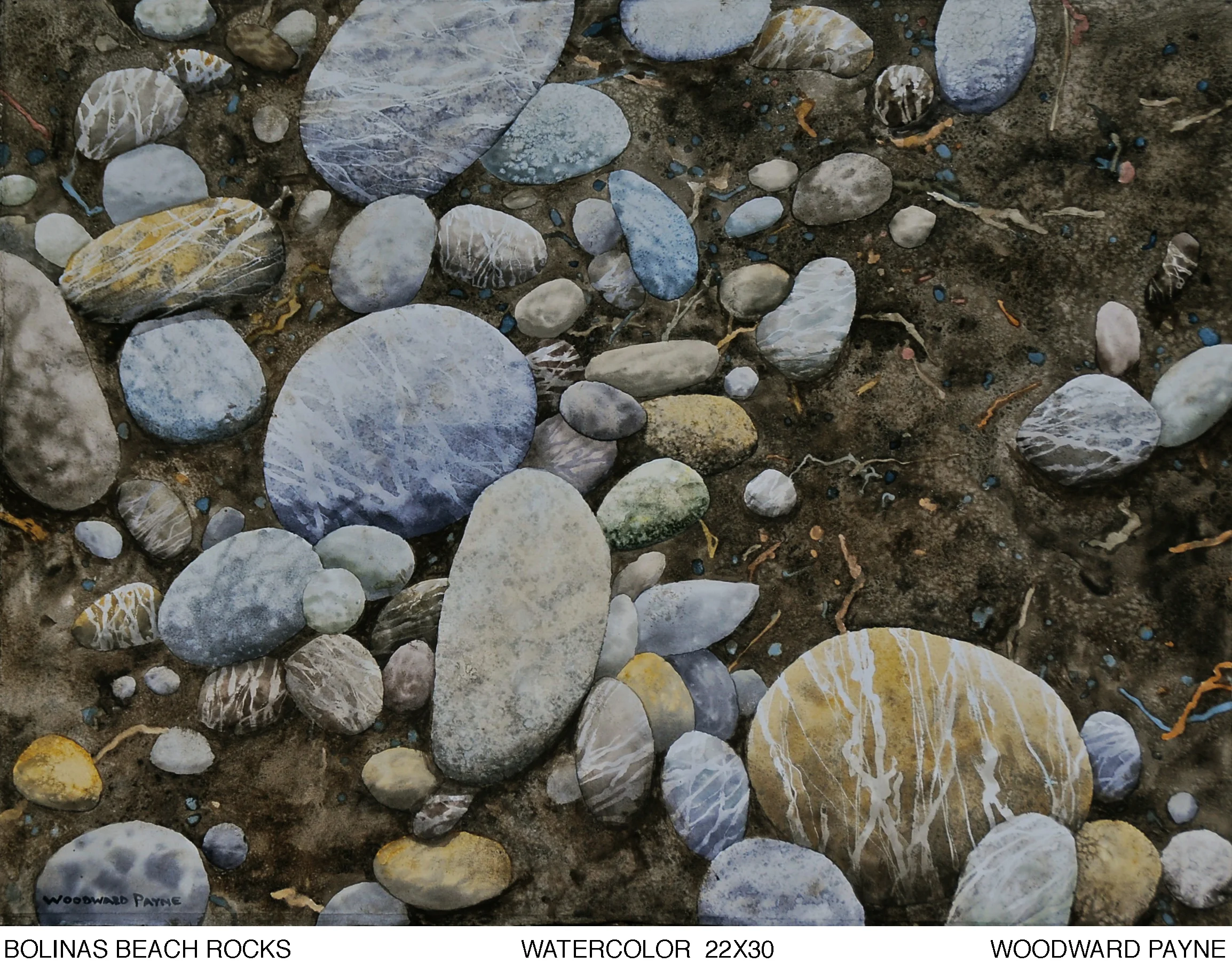 BOLINAS BEACH ROCKS 22X30 watercolor copy.jpg