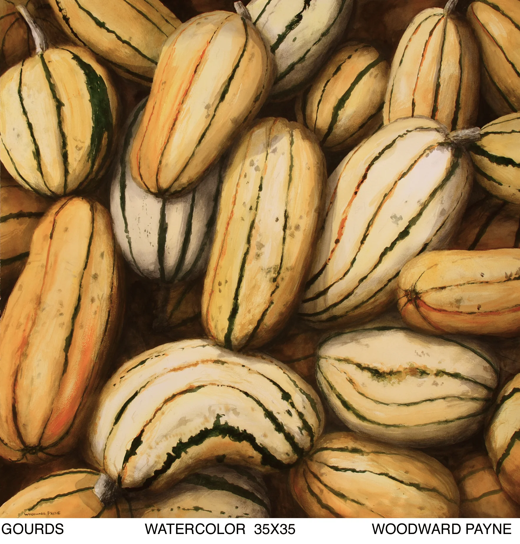 GOURDS, 35X35 watercolor copy.jpg