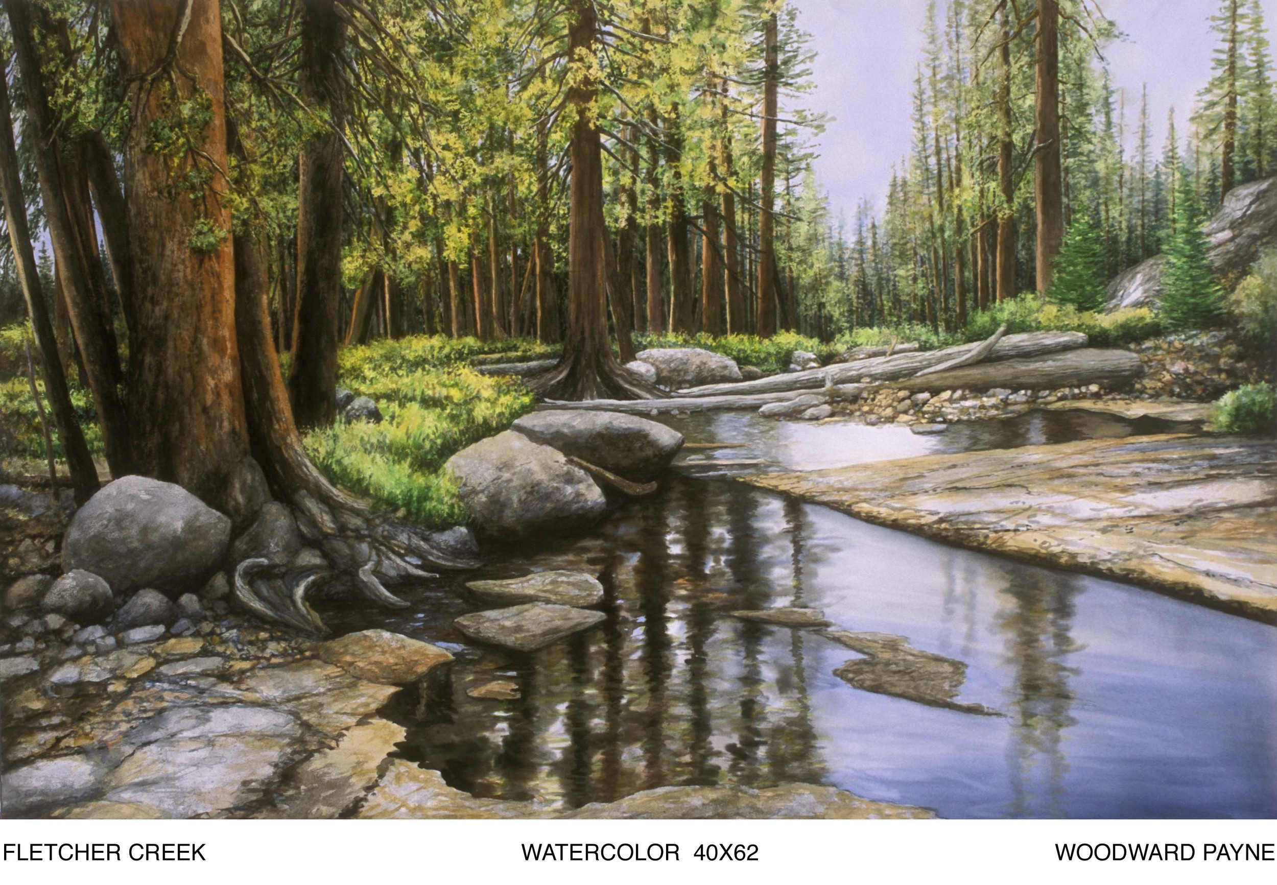 FLETCHER CREEK 40X62 watercolor copy.jpg