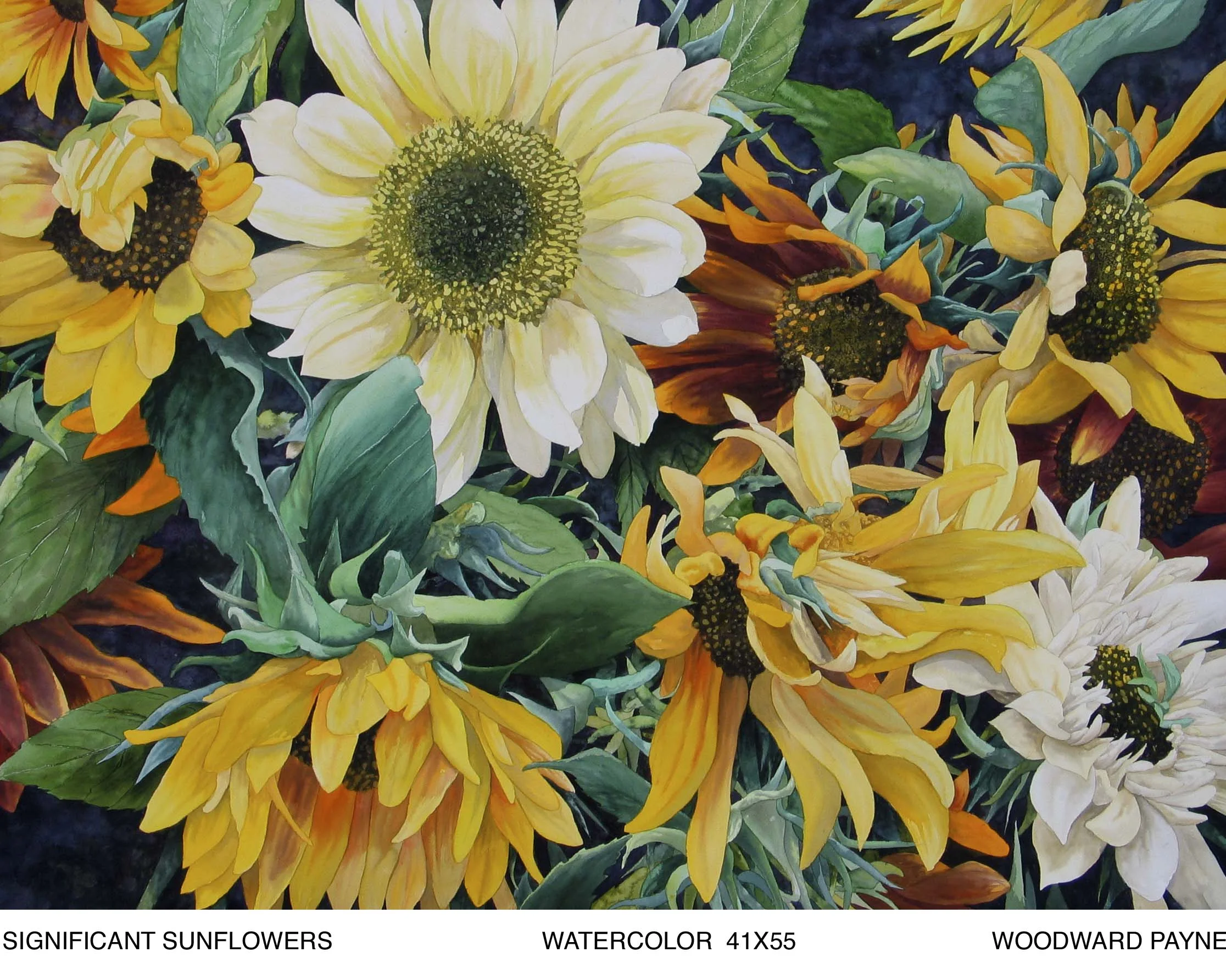 SIGNIFICANT SUNFLOWERS 41X55 watercolor copy.jpg