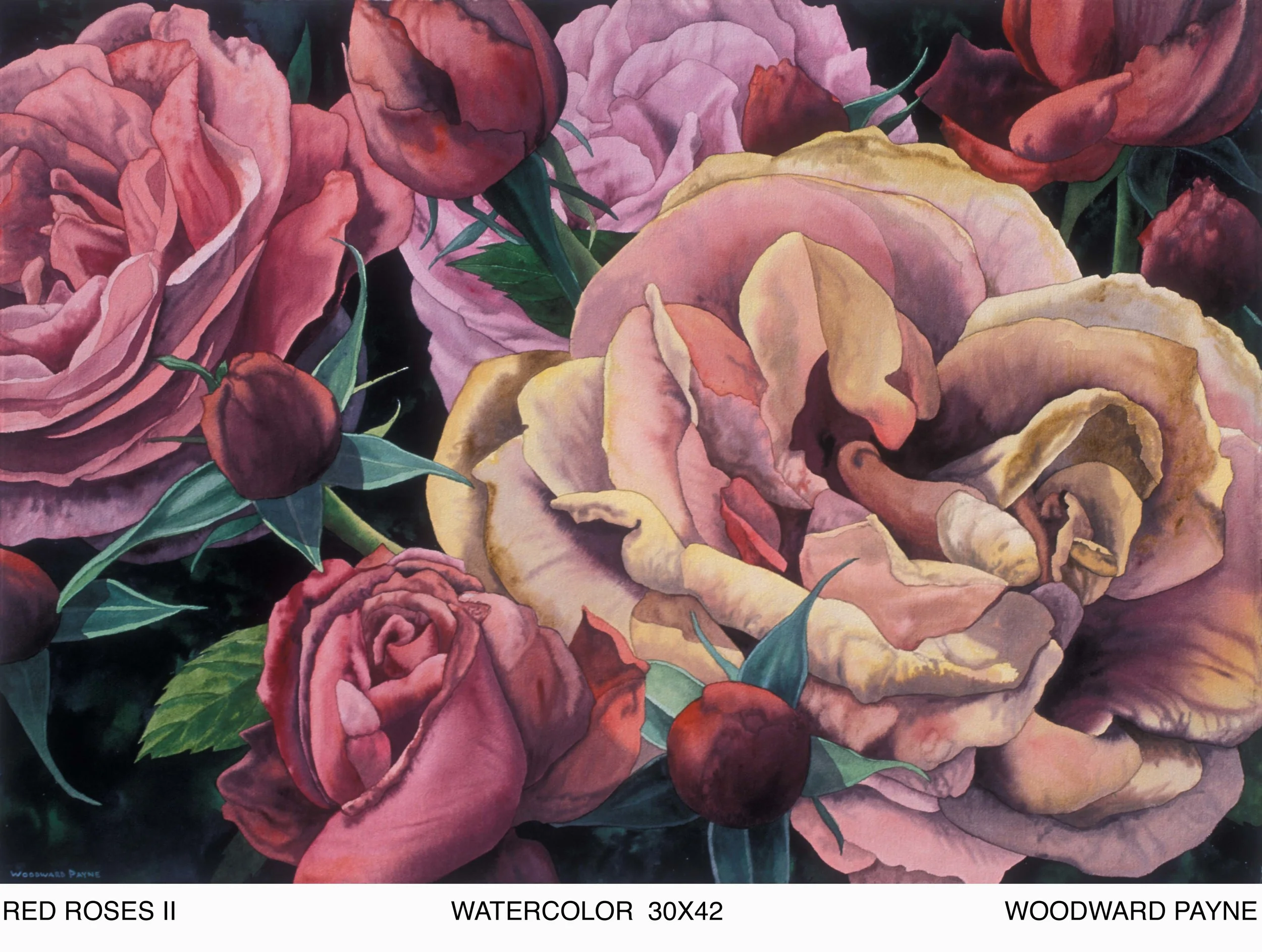 RED ROSES II 30X42 watercol copy.jpg